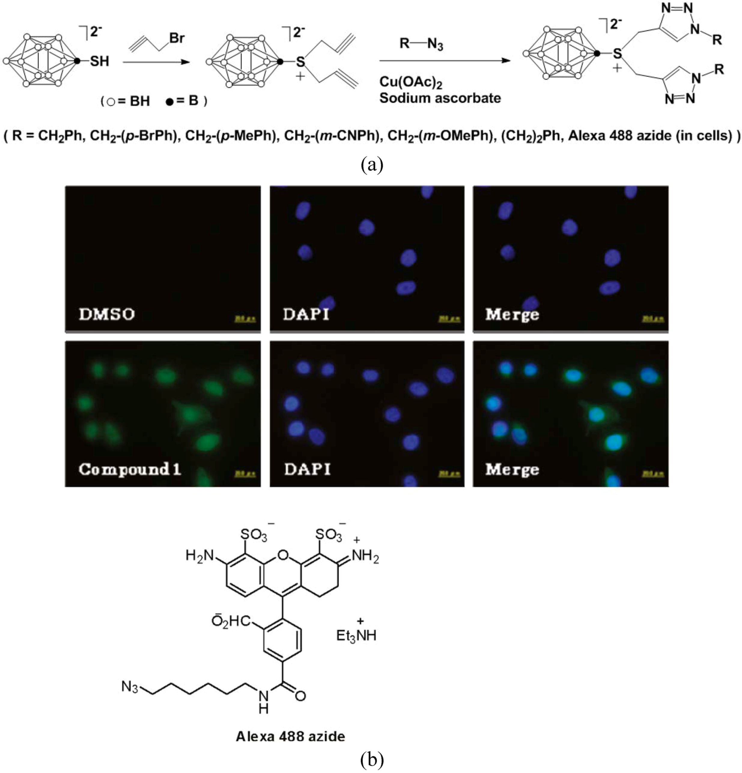 Molecules 15 09437 g005 550