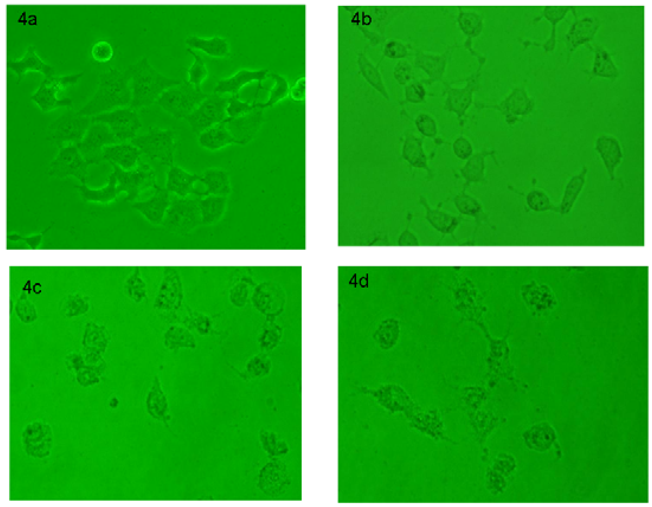 Molecules 15 09473 g004