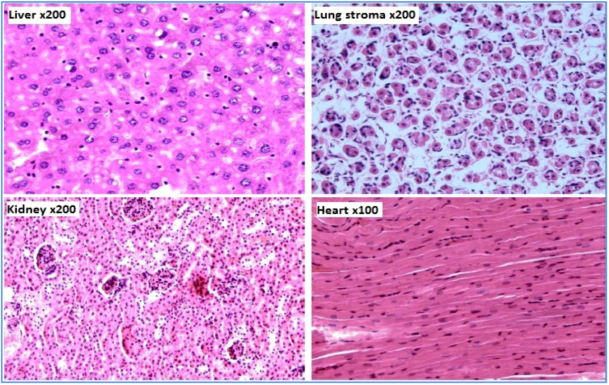Molecules 16 00107 g002 550