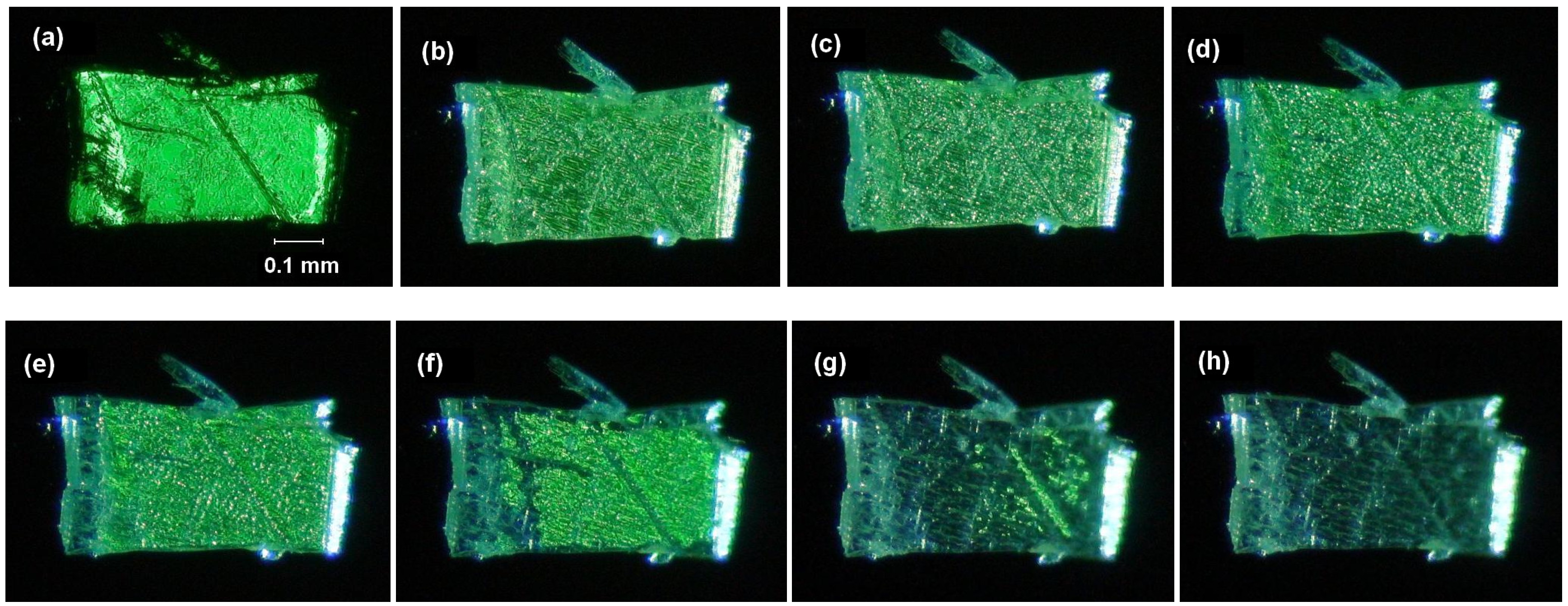 Molecules 16 00119 g009