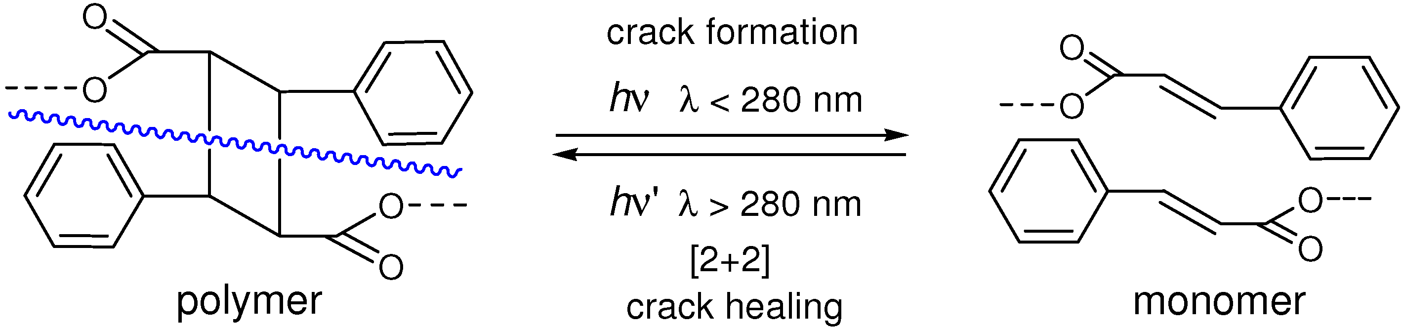 Molecules 16 00119 g029