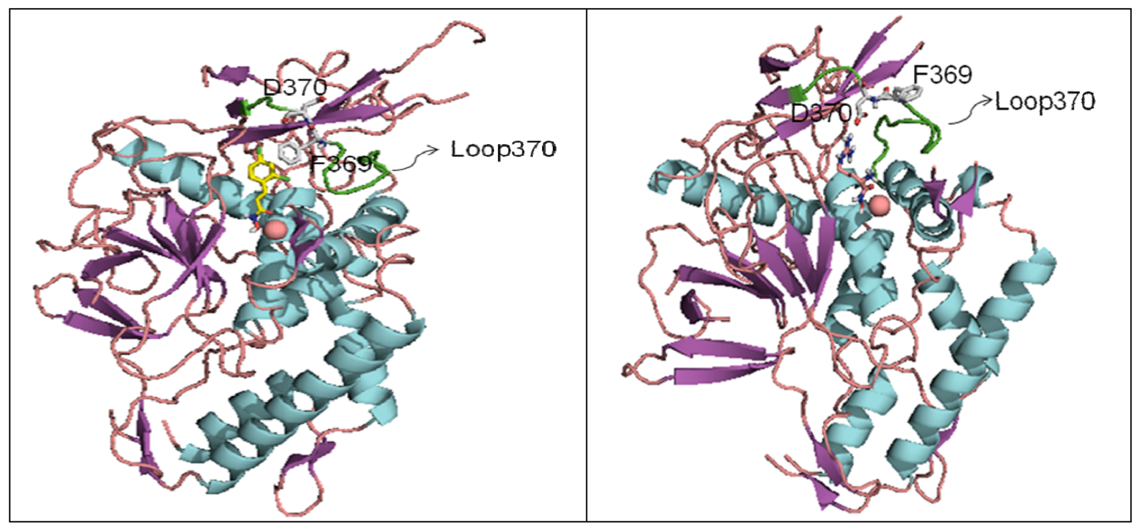 Molecules 16 00202 g007 550