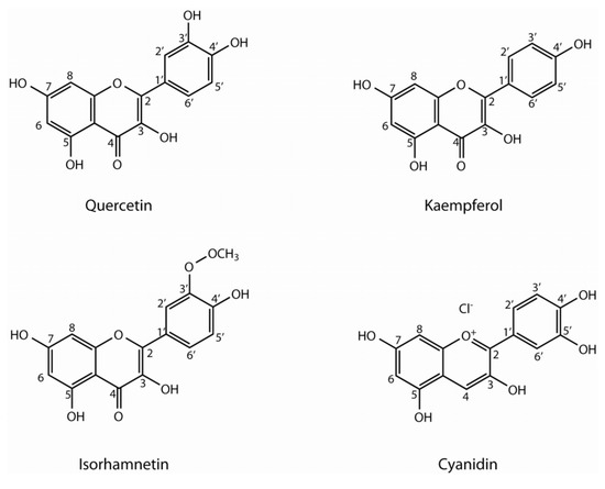 Phenolic Compounds in Brassica Vegetables