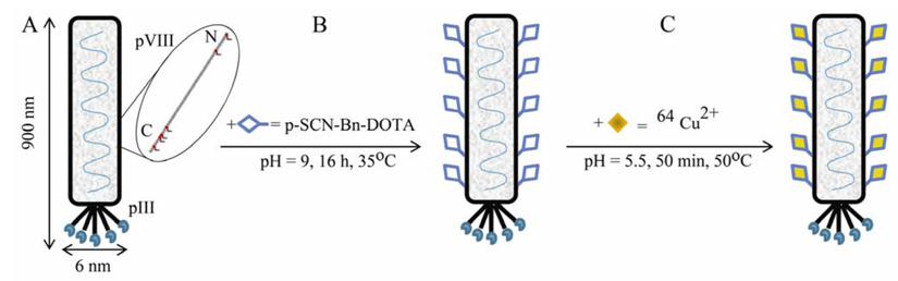 Molecules 16 00900 g005 550