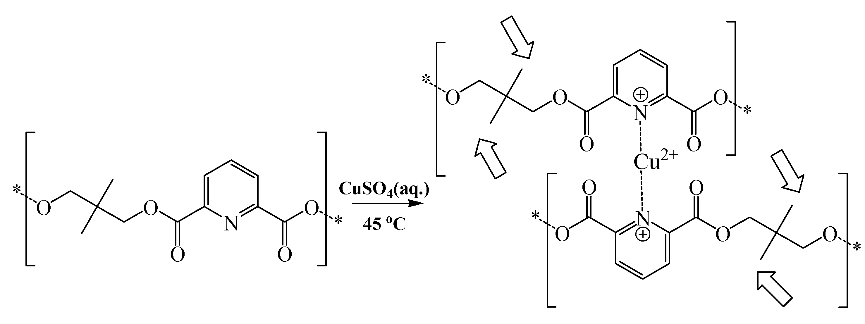 Synthesis polylactic acid by lipase catalyzed polymerization biology essay 02 picture