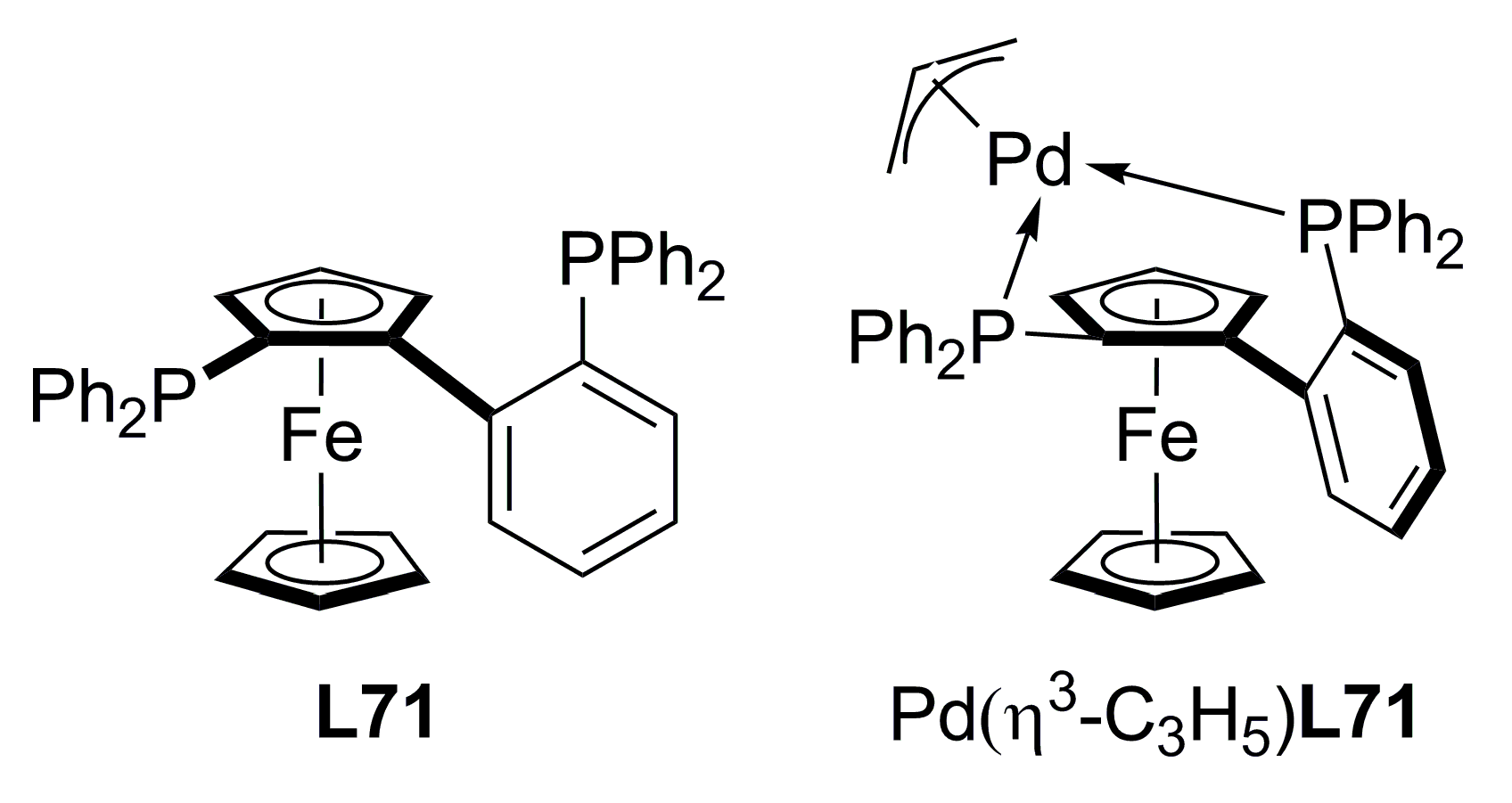 Molecules 16 00970 g026