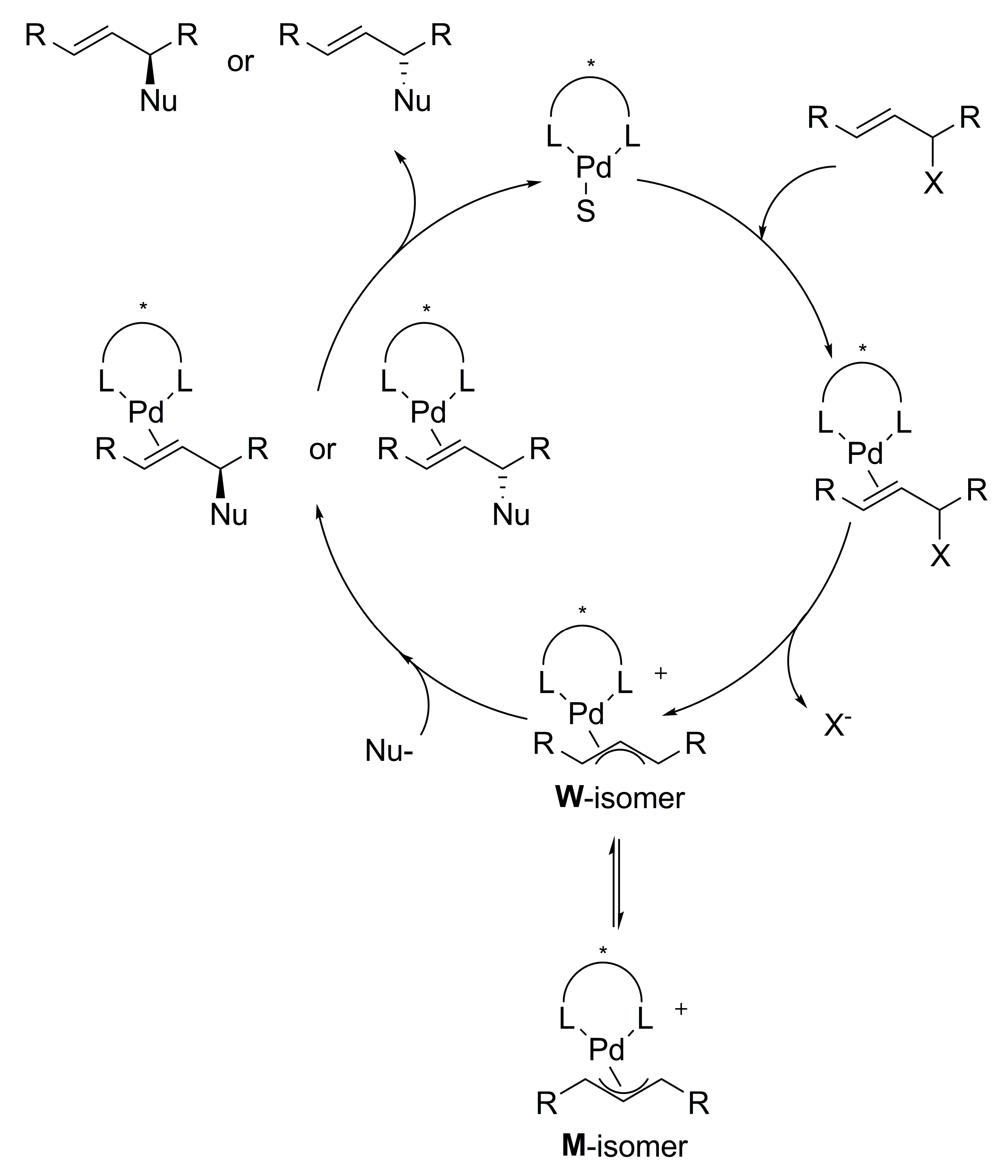 Molecules 16 00970 sch001