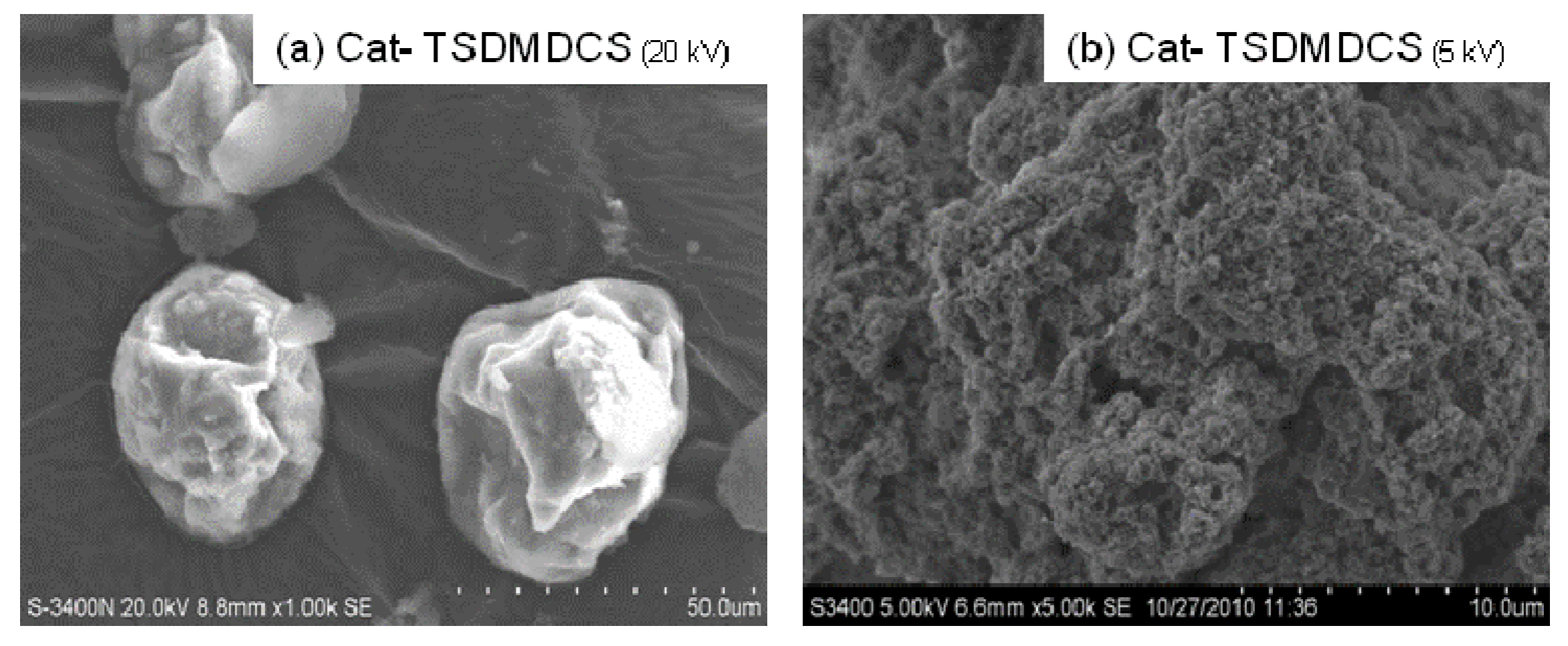 Molecules 16 01323 g007