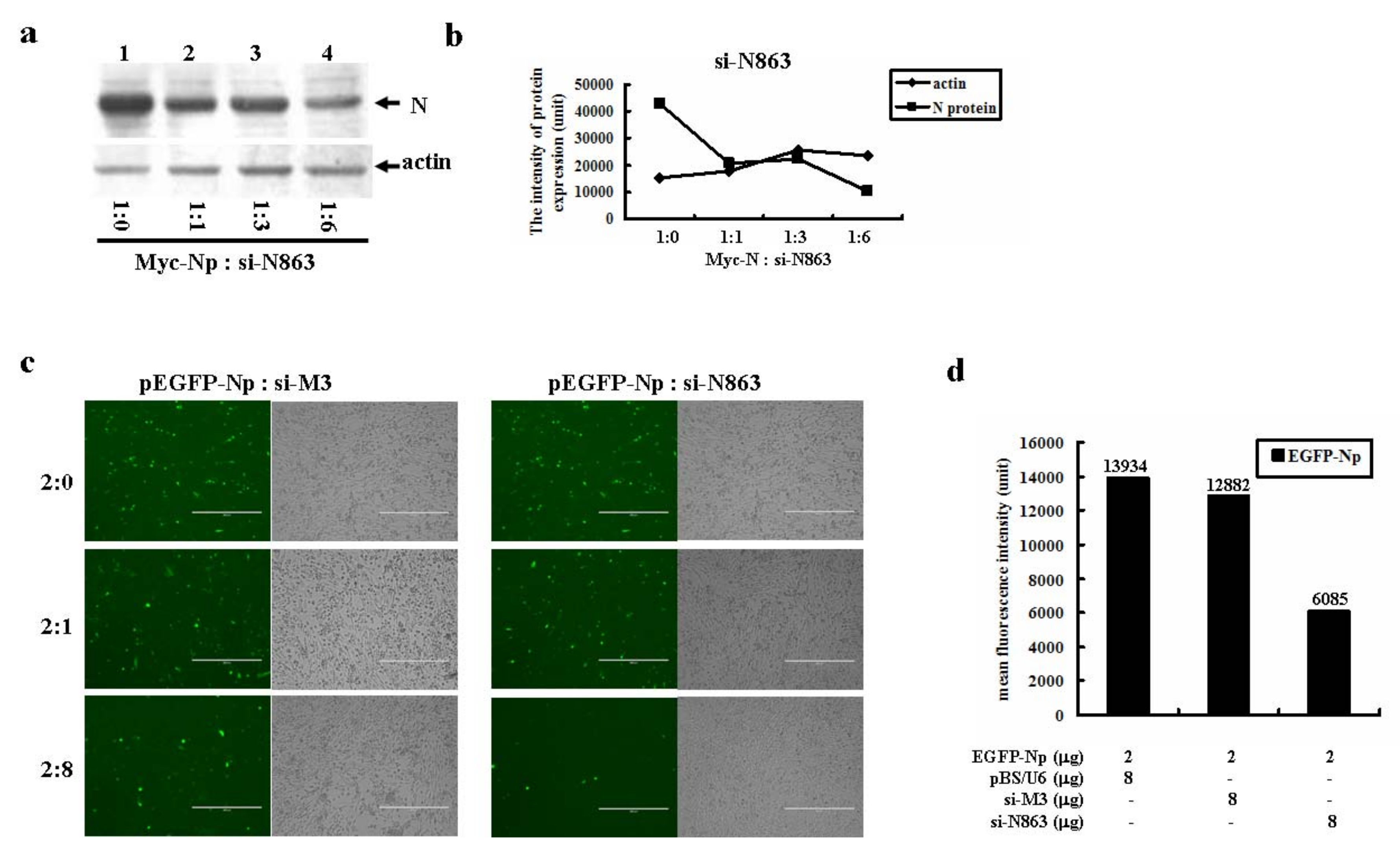 Molecules 16 01544 g005