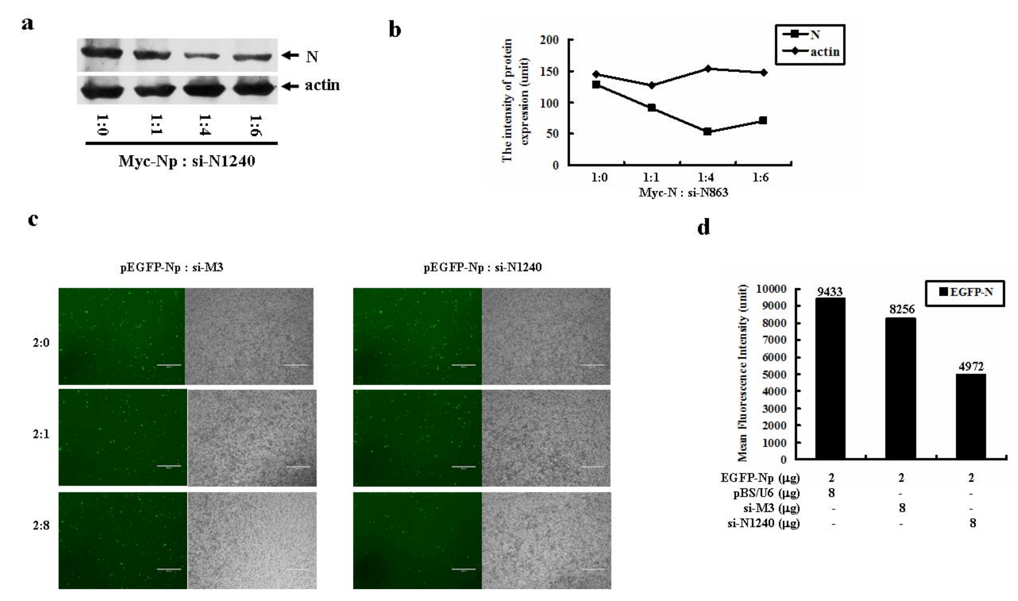 Molecules 16 01544 g006