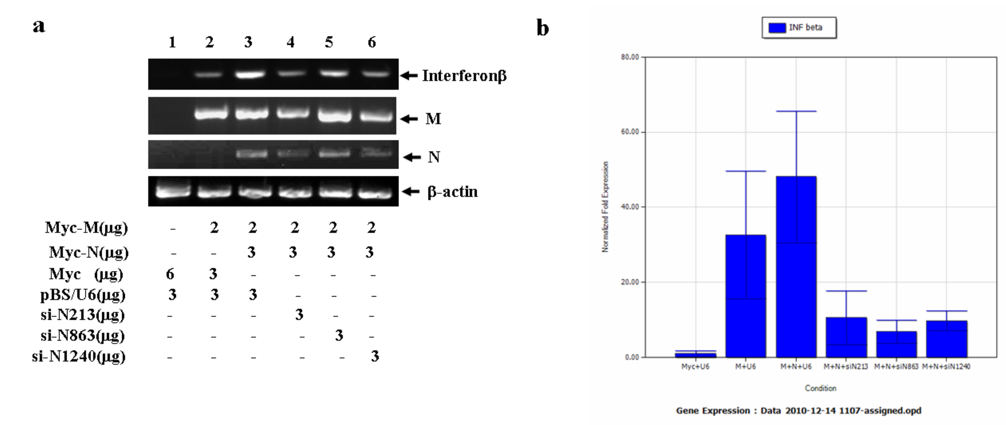 Molecules 16 01544 g008
