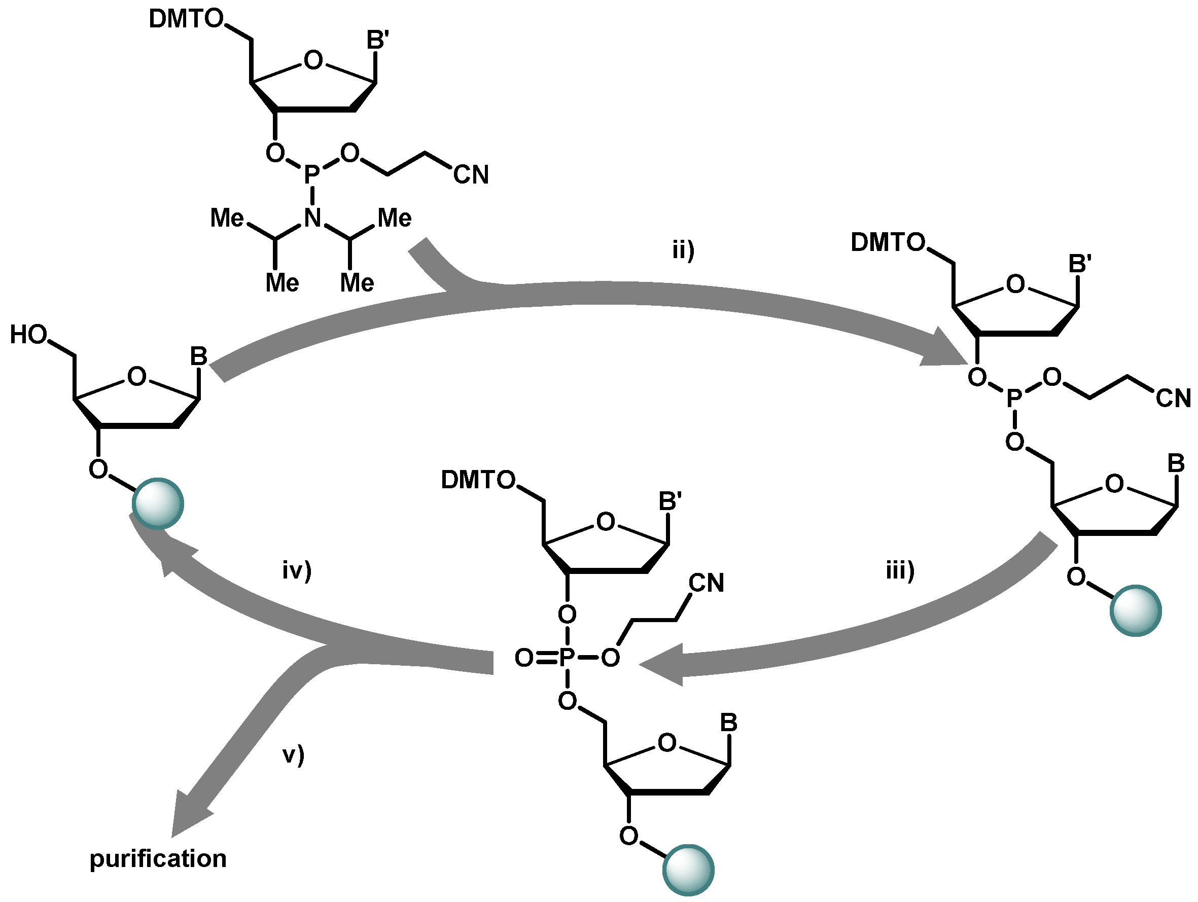 Molecules 16 01625 g001