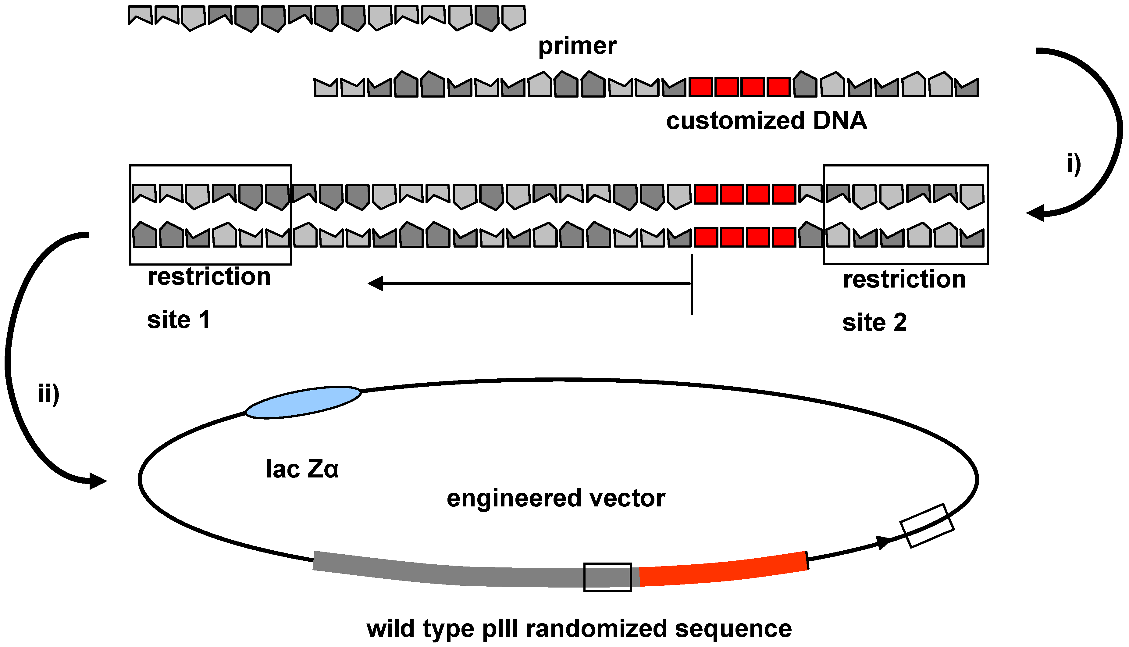 Molecules 16 01625 g002