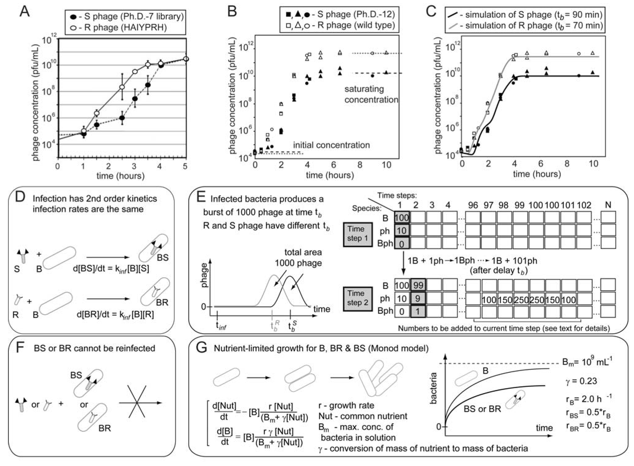 Molecules 16 01776 g006