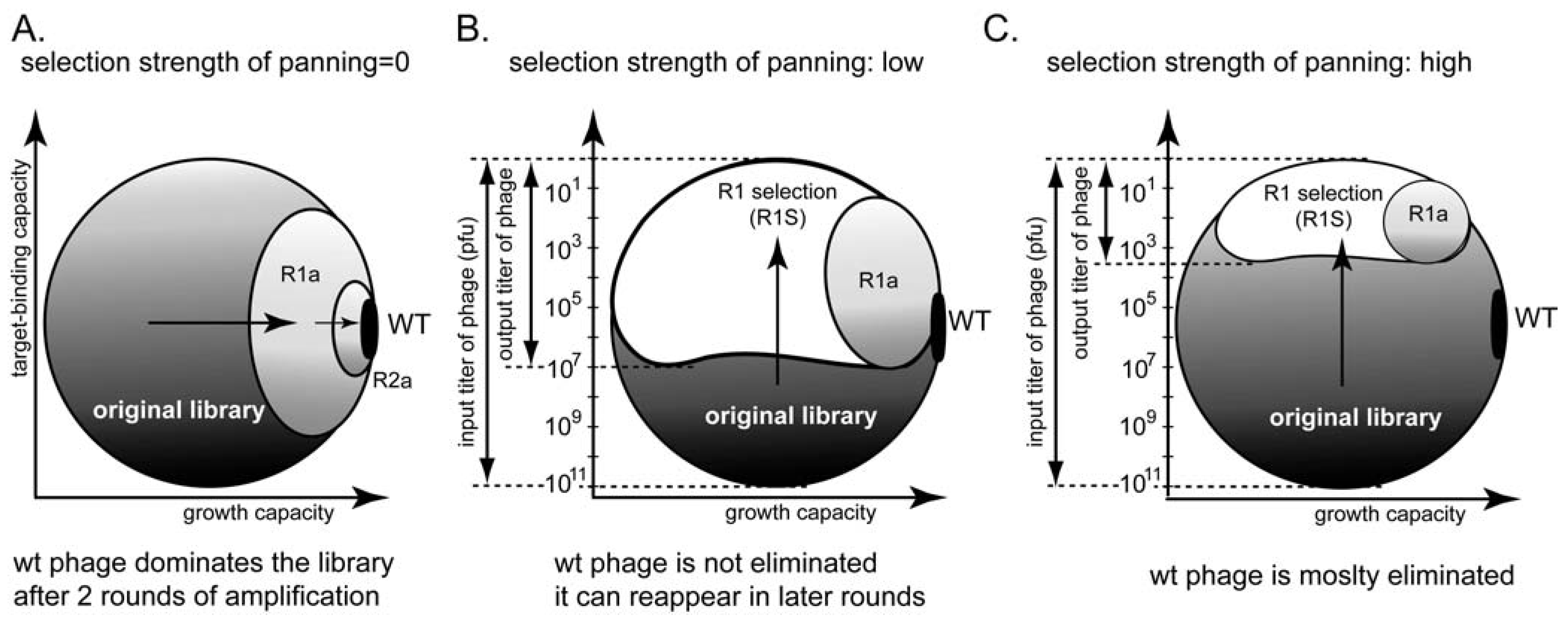 Molecules 16 01776 g008