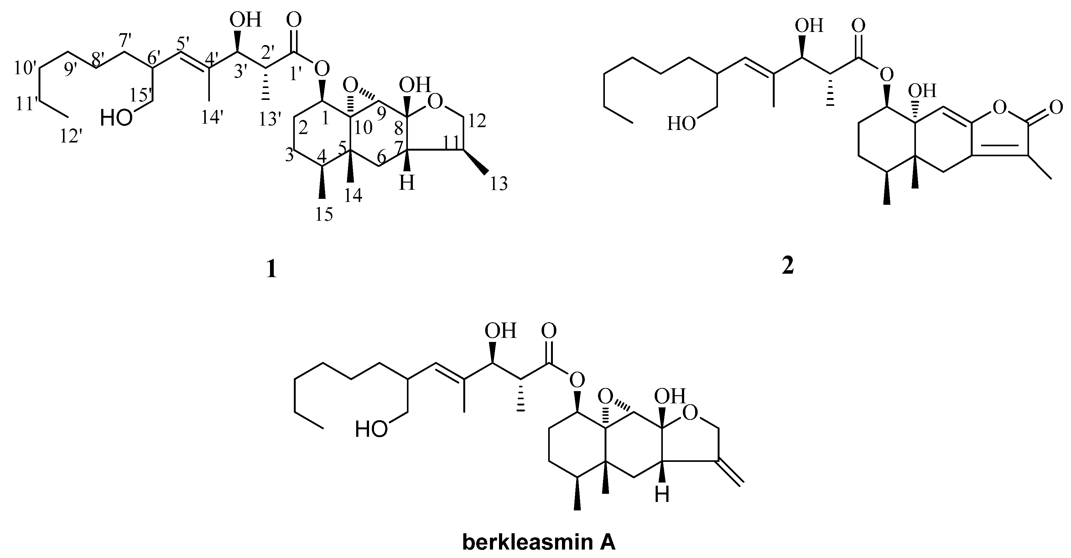 Molecules 16 01910 g001