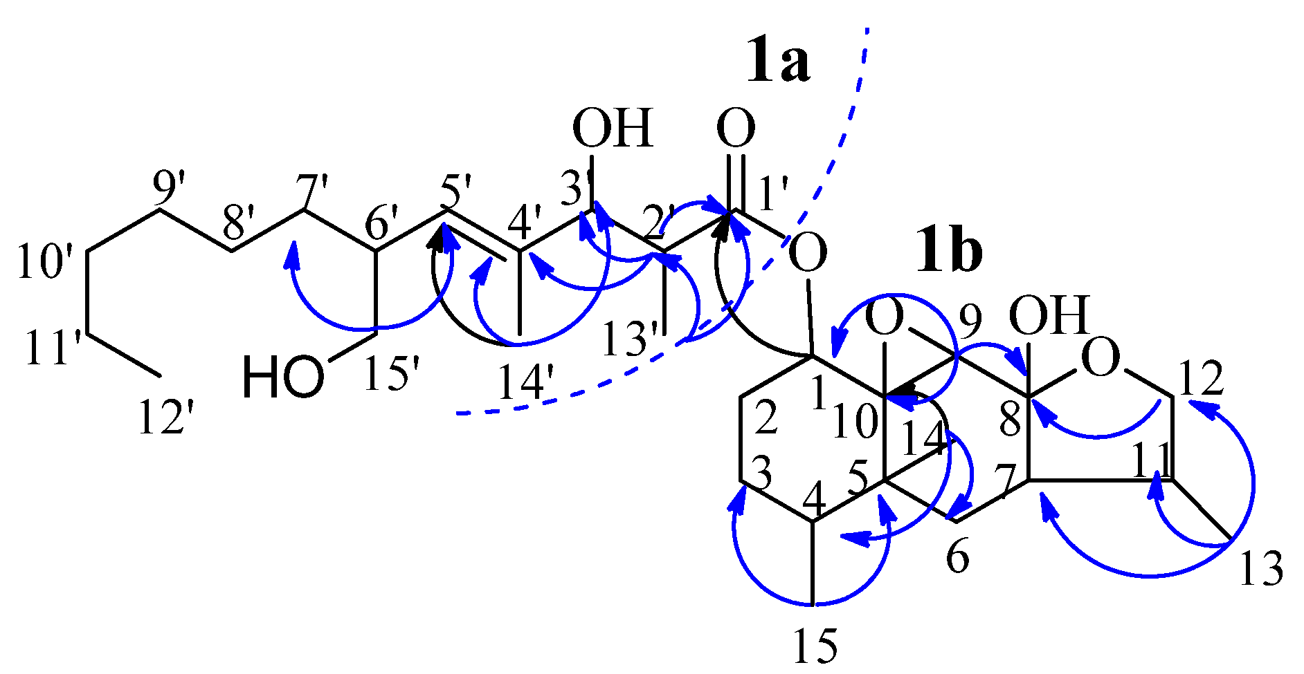 Molecules 16 01910 g002