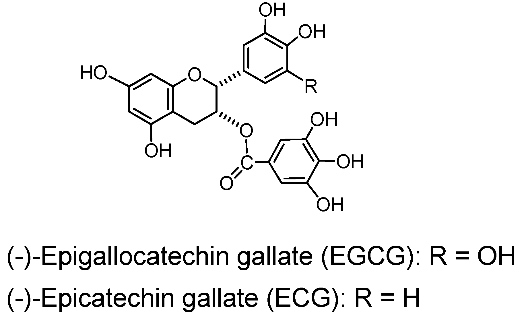 Molecules Free FullText Tannins of Constant Structure in Medicinal