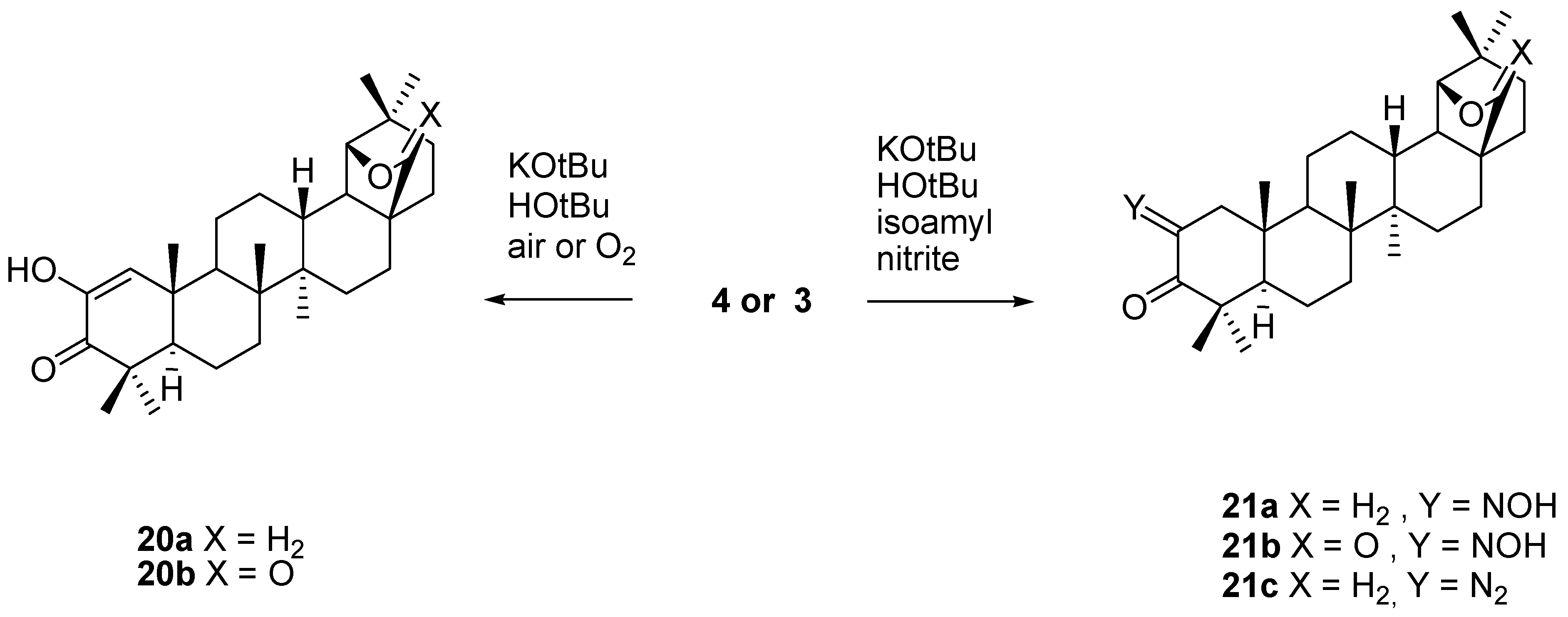 Molecules 16 02443 g024 550