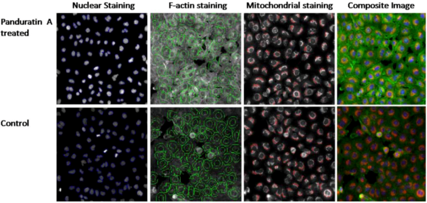 Molecules 16 02583 g008 550