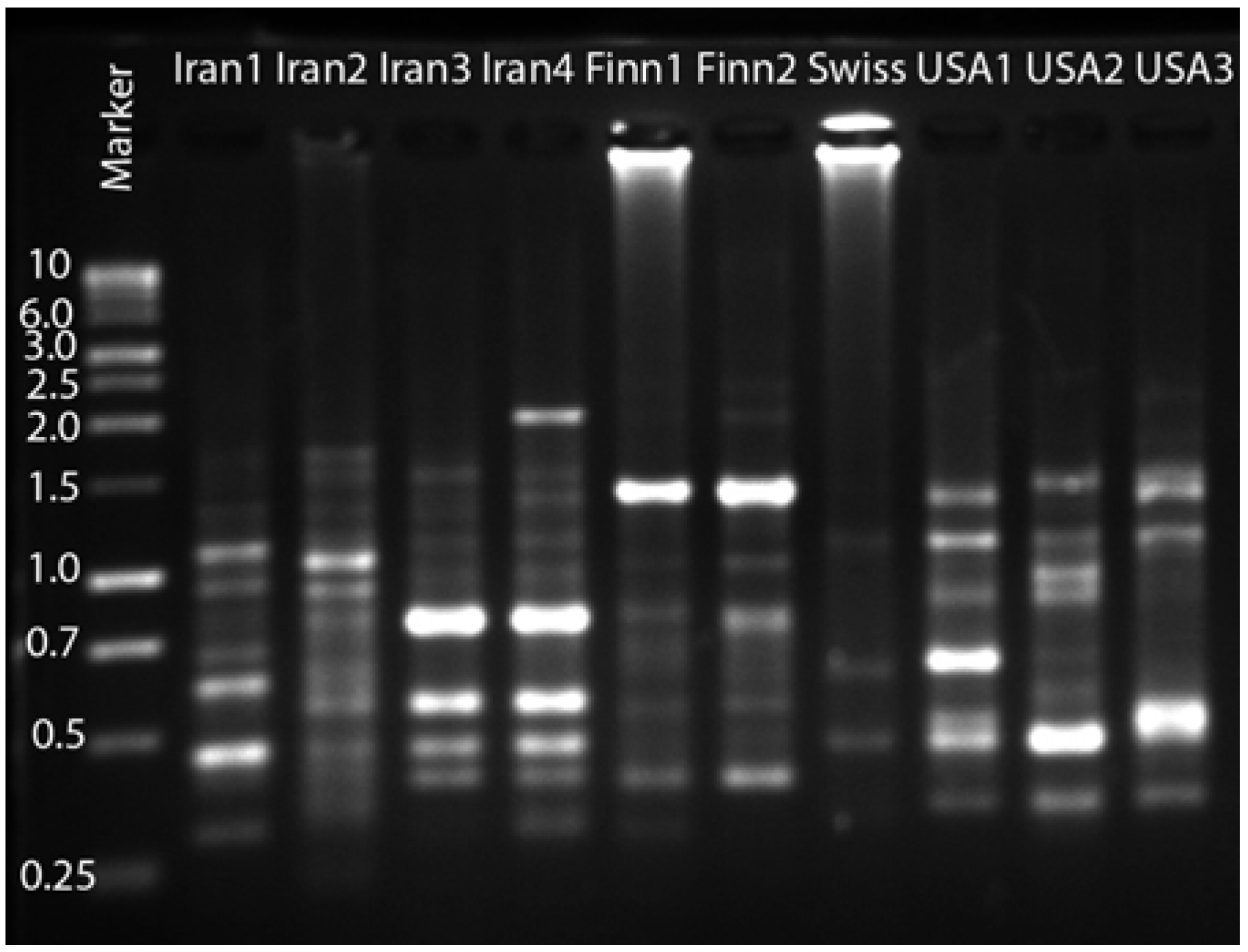 Molecules 16 02599 g002 550