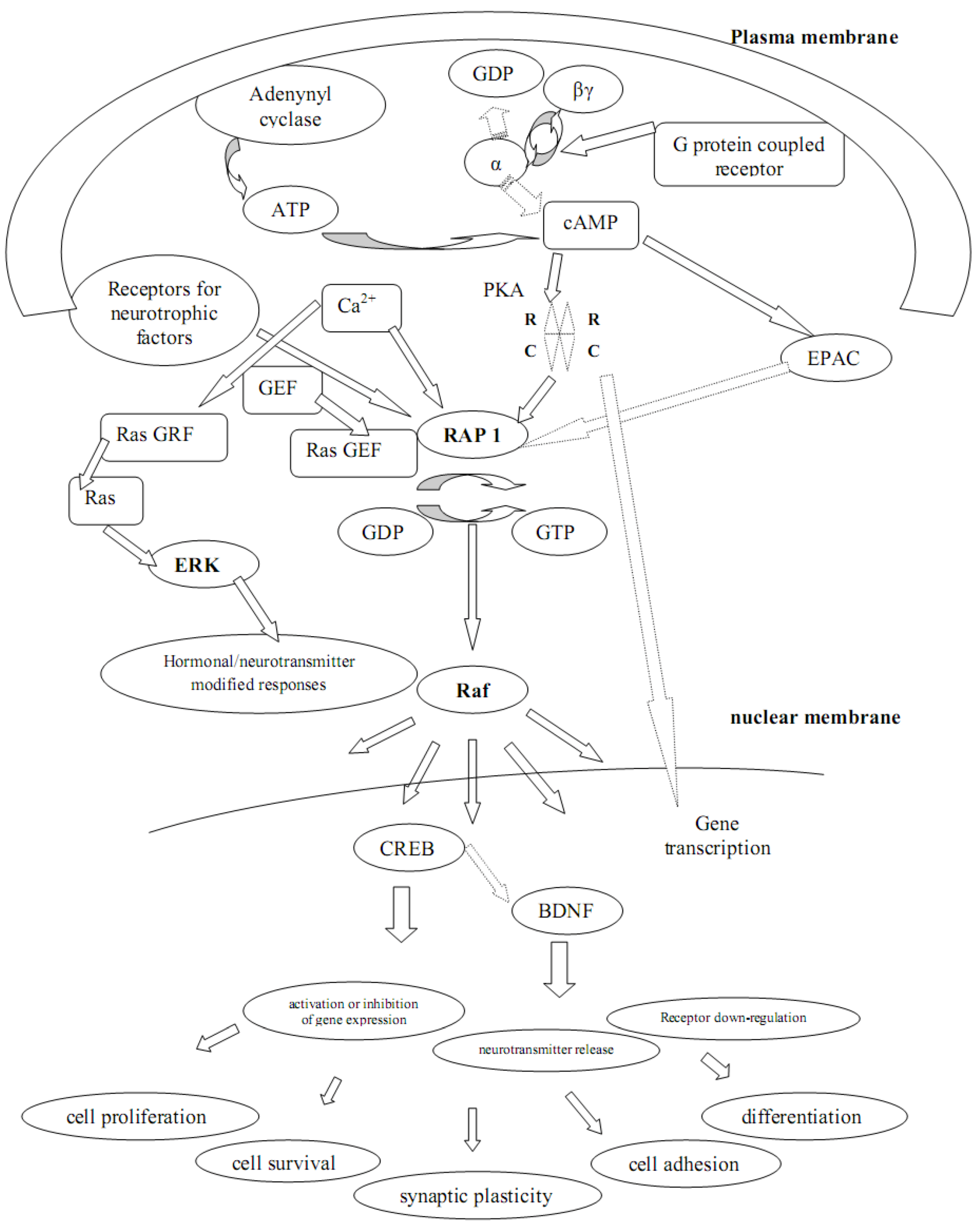 Molecules 16 02688 g002 550