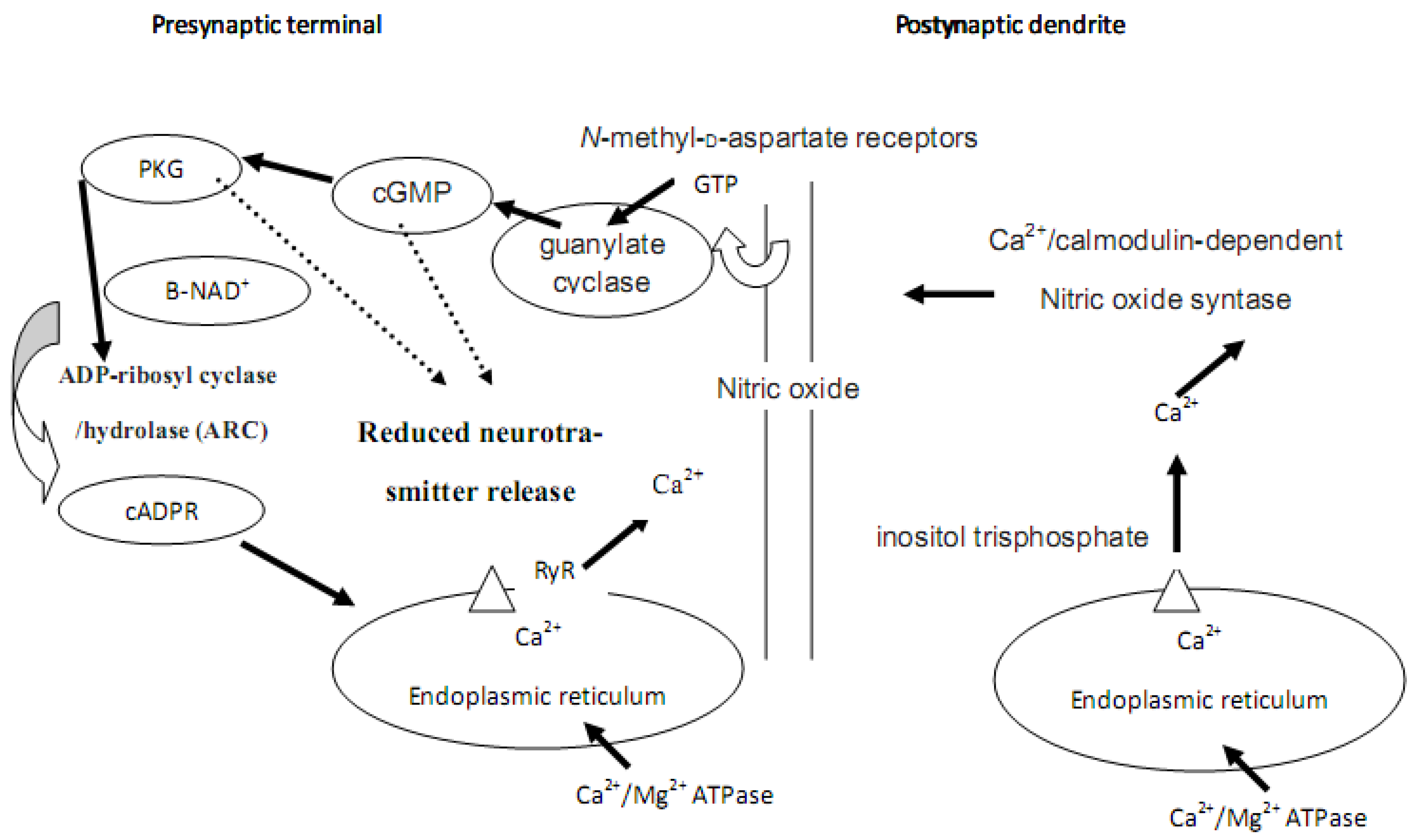 Molecules 16 02688 g003 550