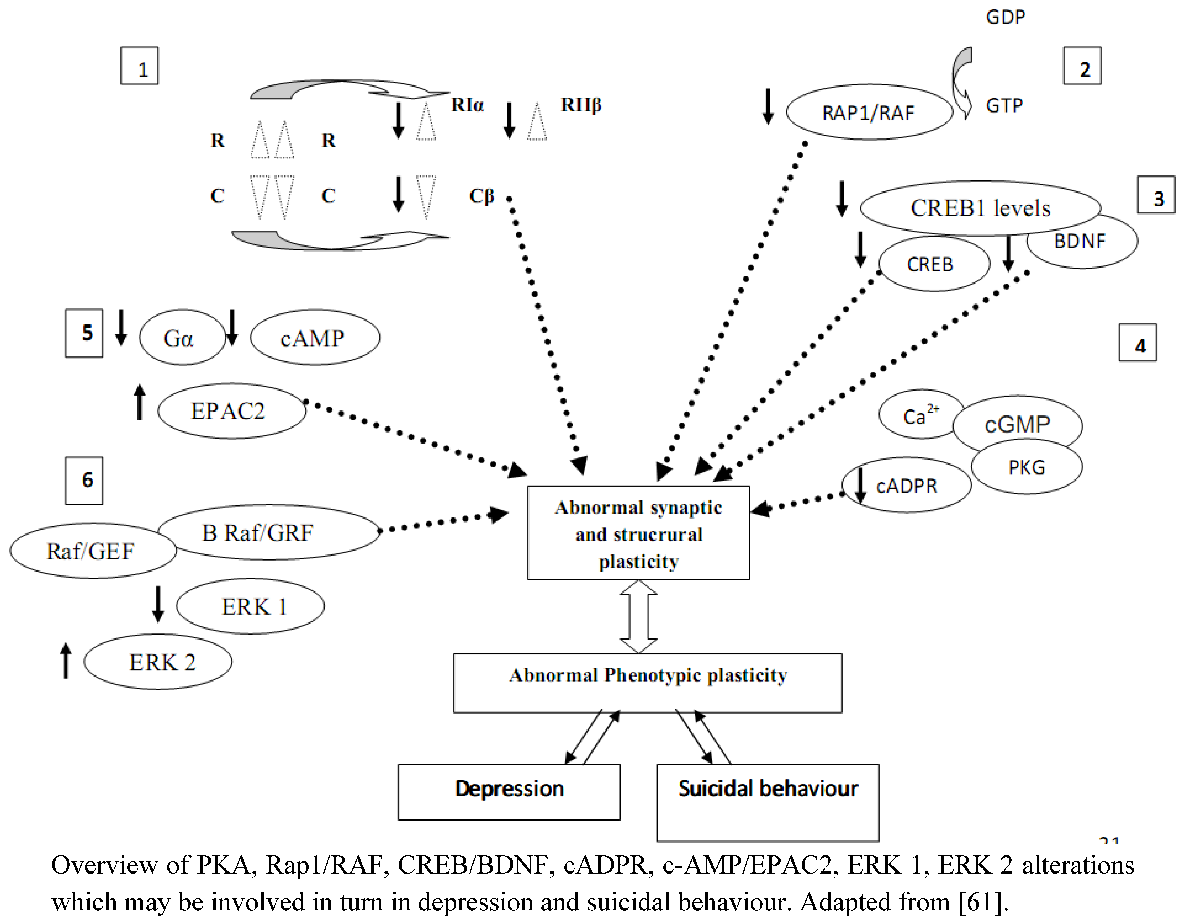 Molecules 16 02688 g004 550