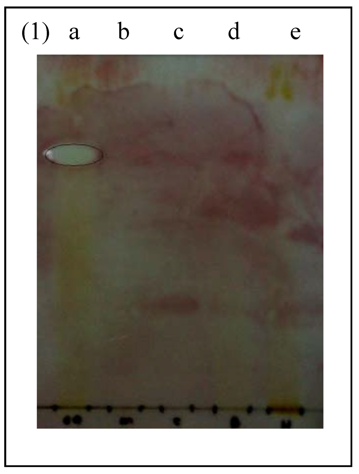 Molecules 16 03037 g001 550