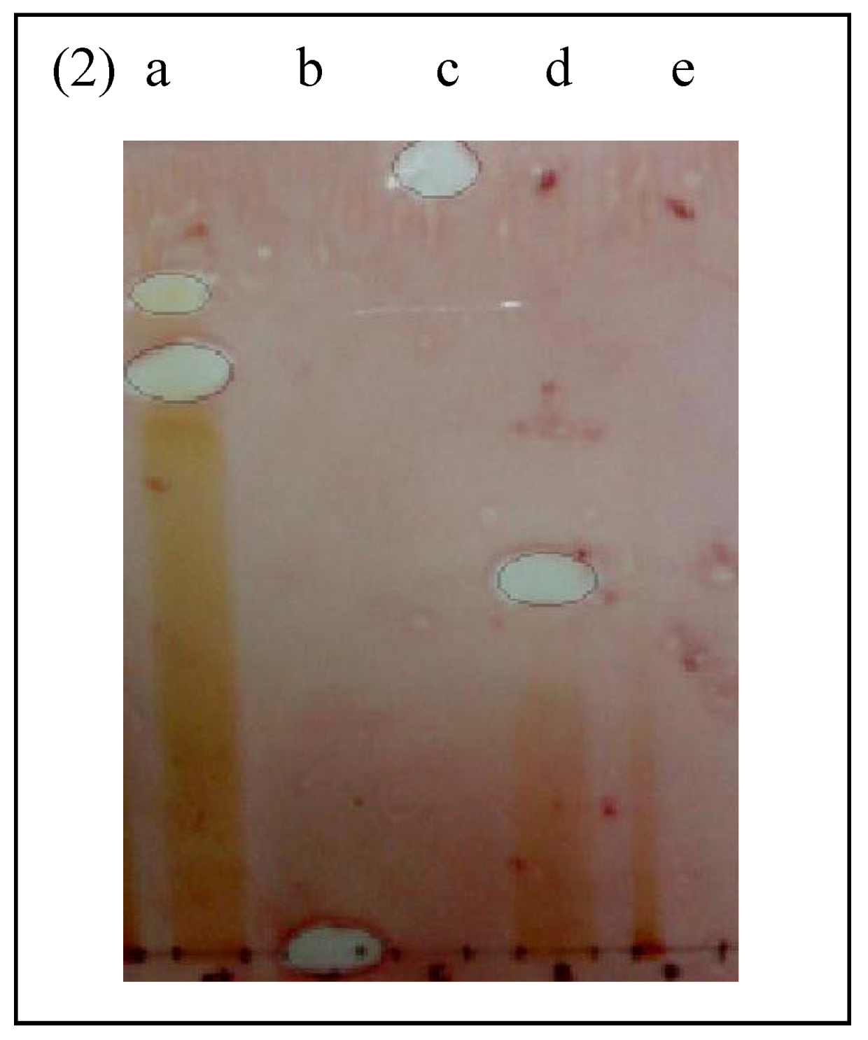 Molecules 16 03037 g002 550