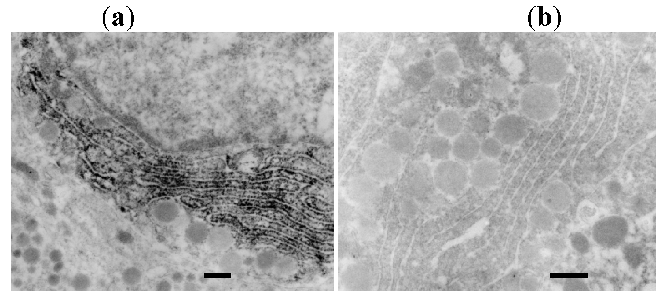 Molecules 16 03618 g001