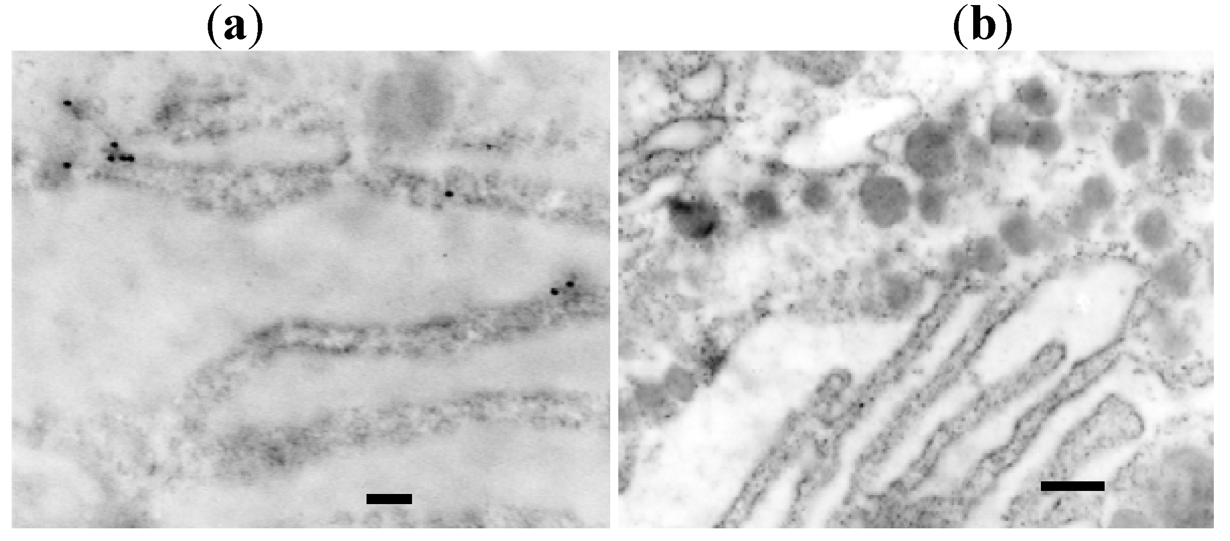 Molecules 16 03618 g002