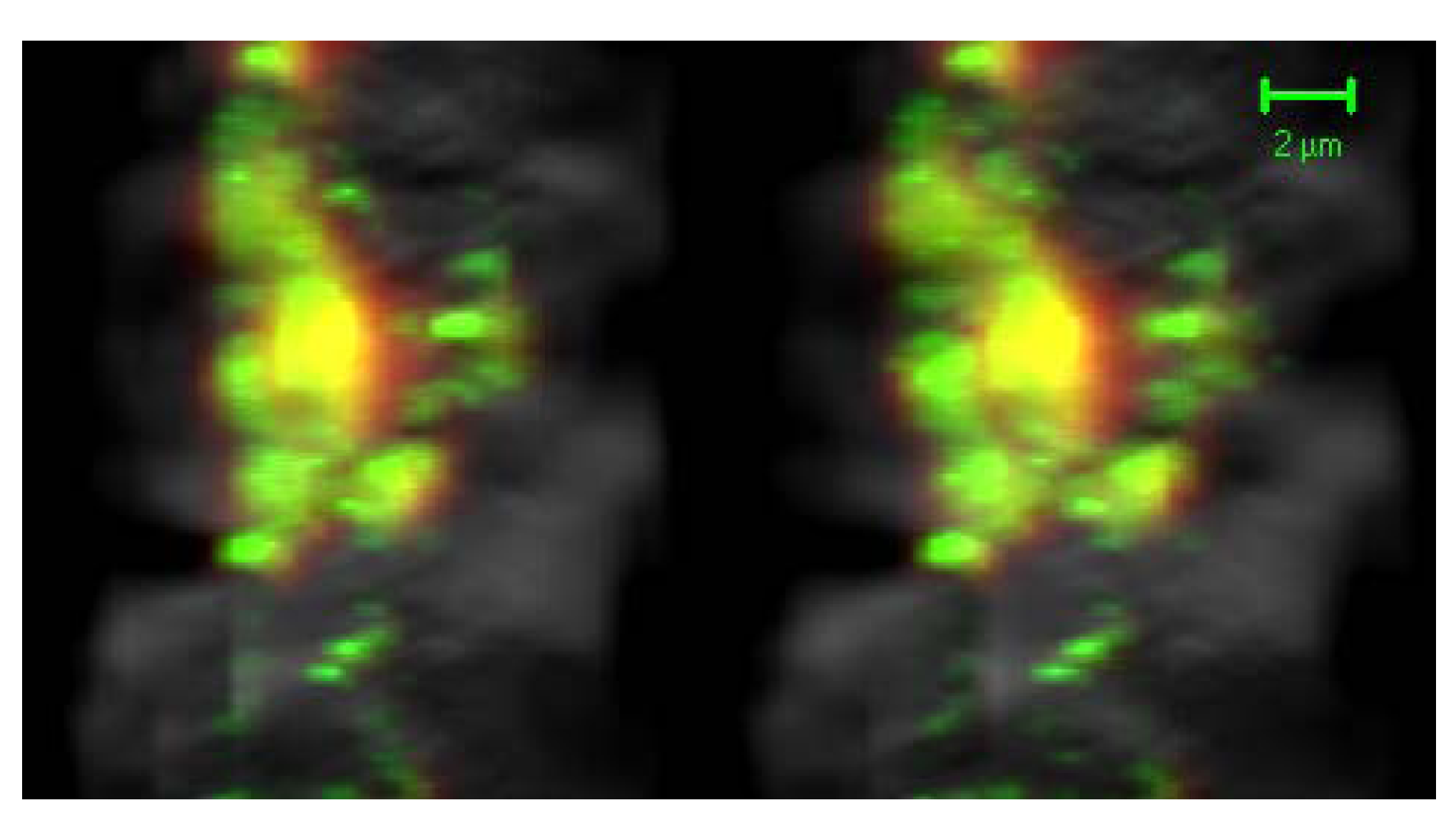 Molecules 16 03618 g004
