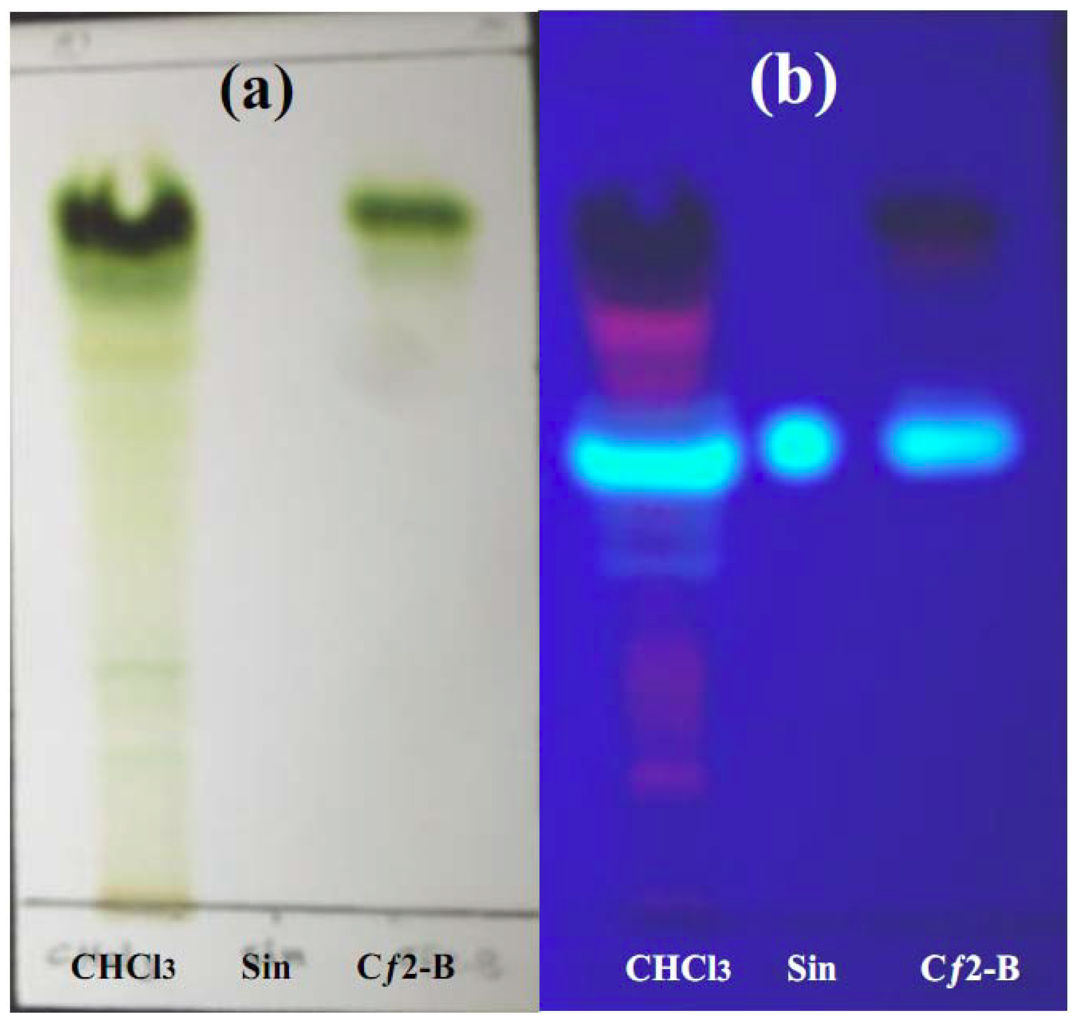 Molecules 16 03787 g007 550