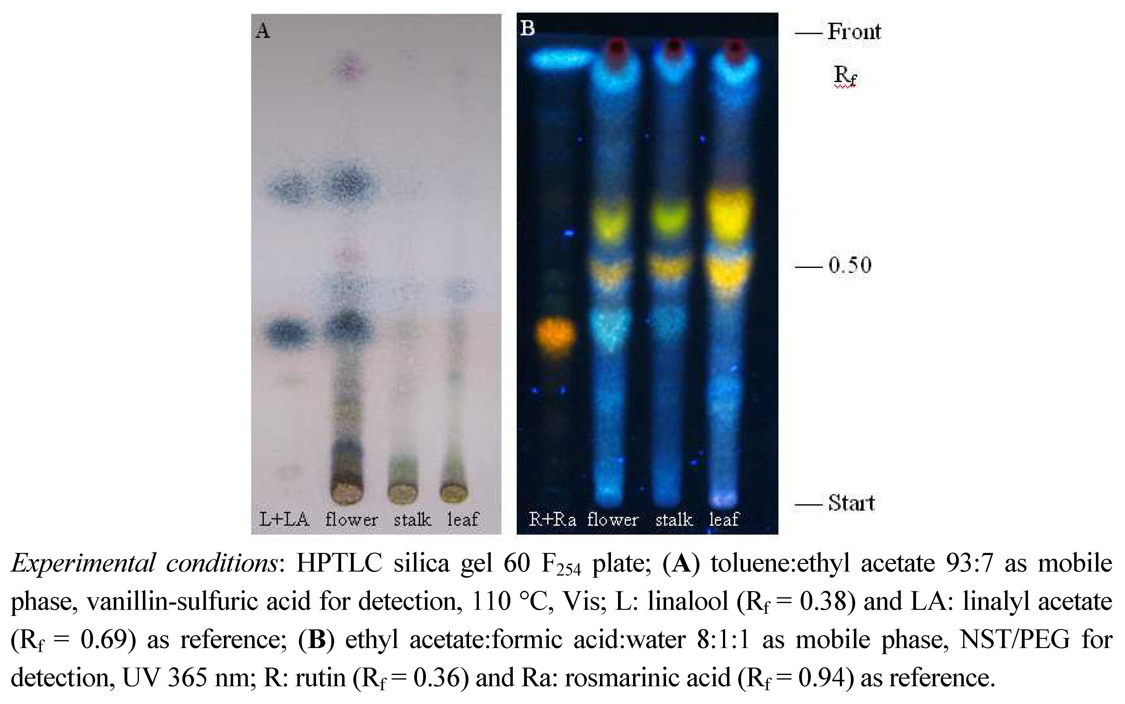 Molecules 16 04241 g001