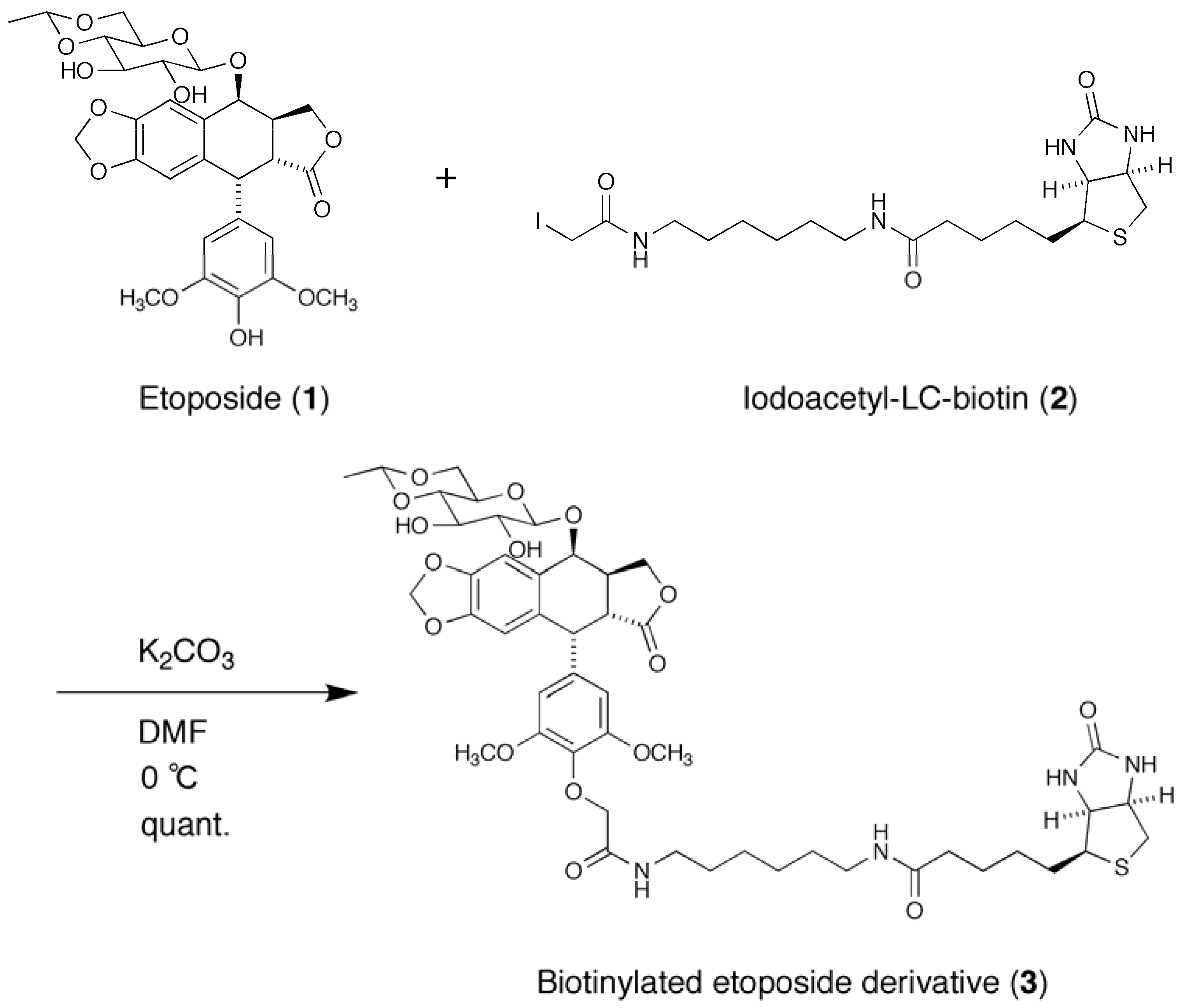 Molecules 16 04278 g010