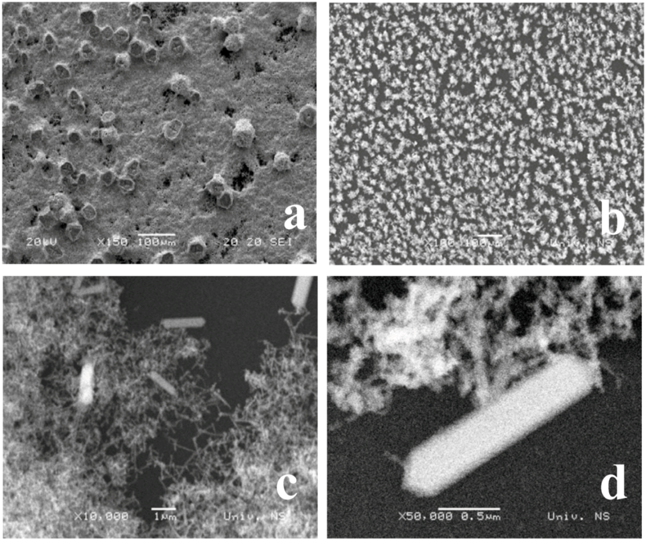 Molecules 16 04451 g002