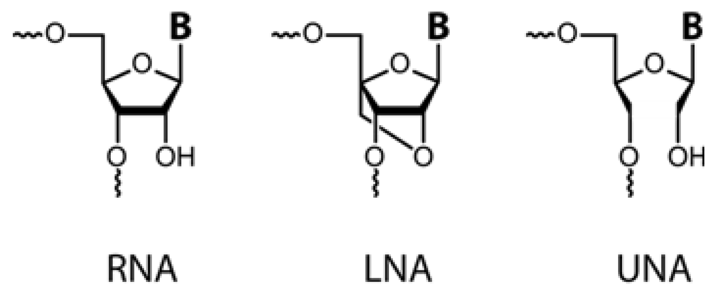 Nucleic Acids Monomers