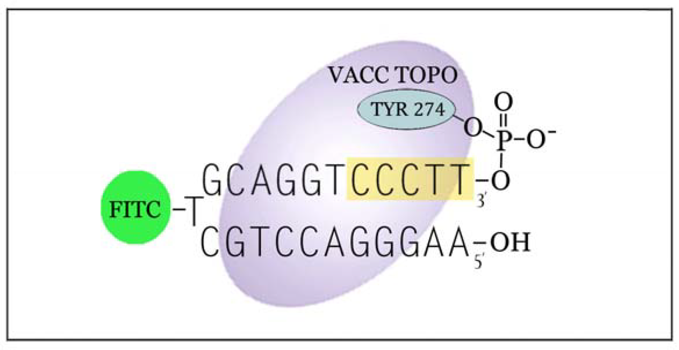 Molecules 16 04599 g002 550