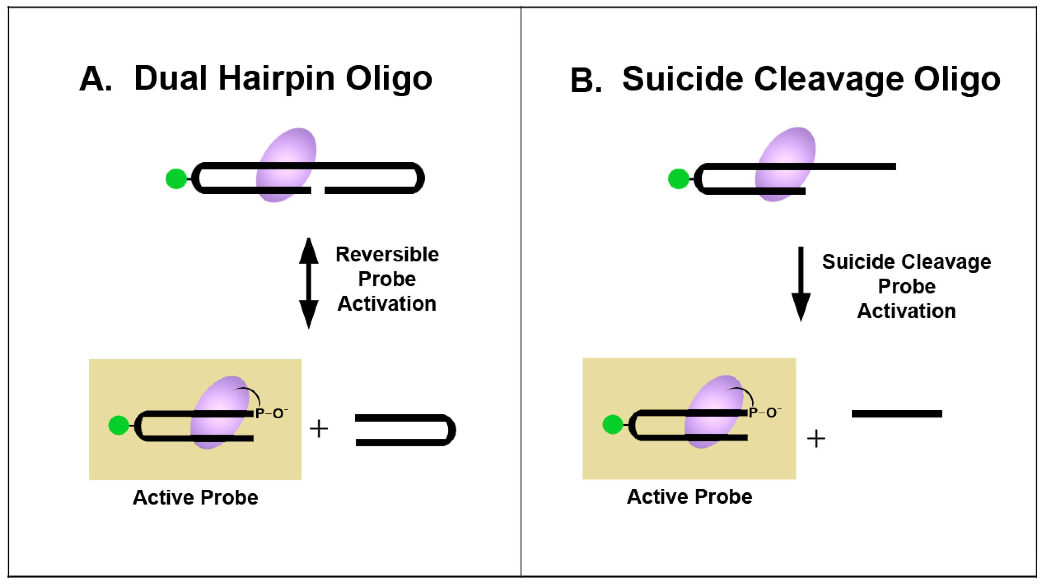 Molecules 16 04599 g003 550