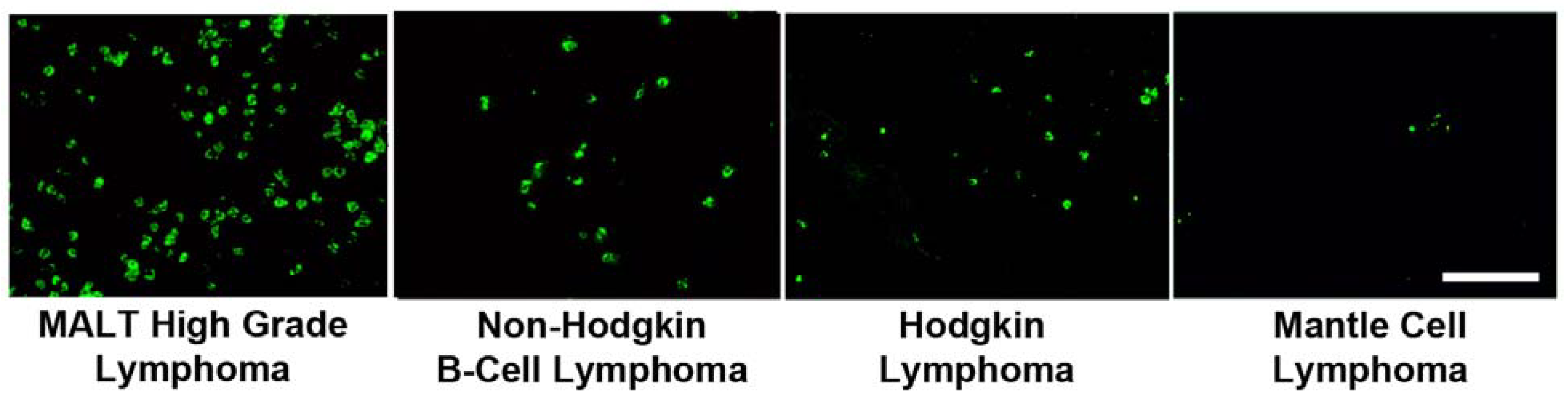 Molecules 16 04599 g008 550