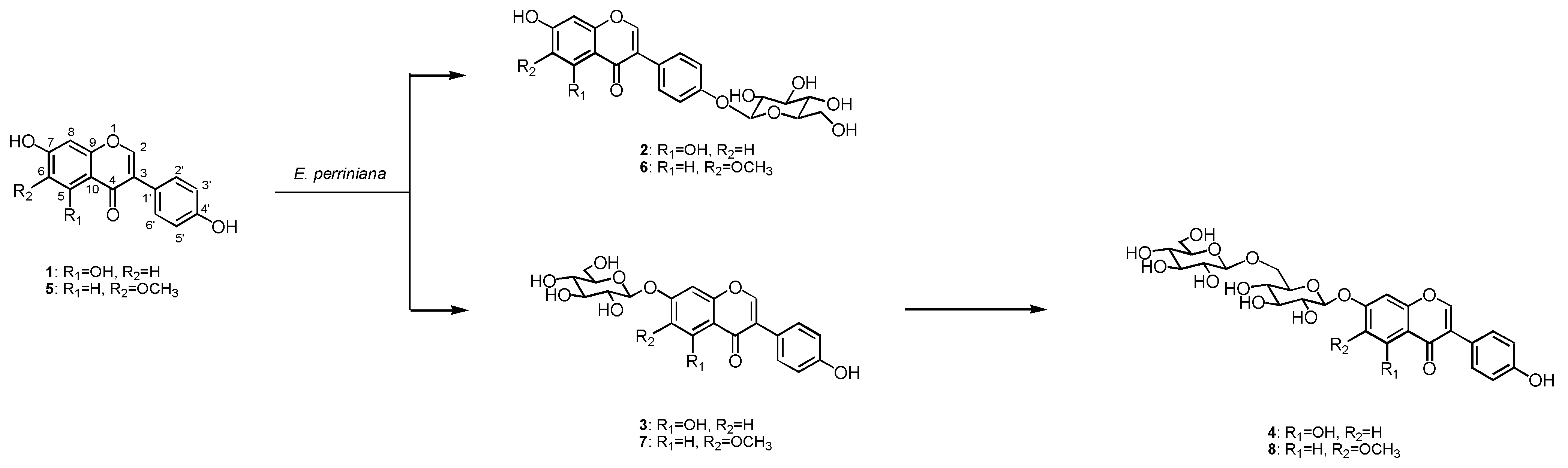 Molecules 16 04740 g001