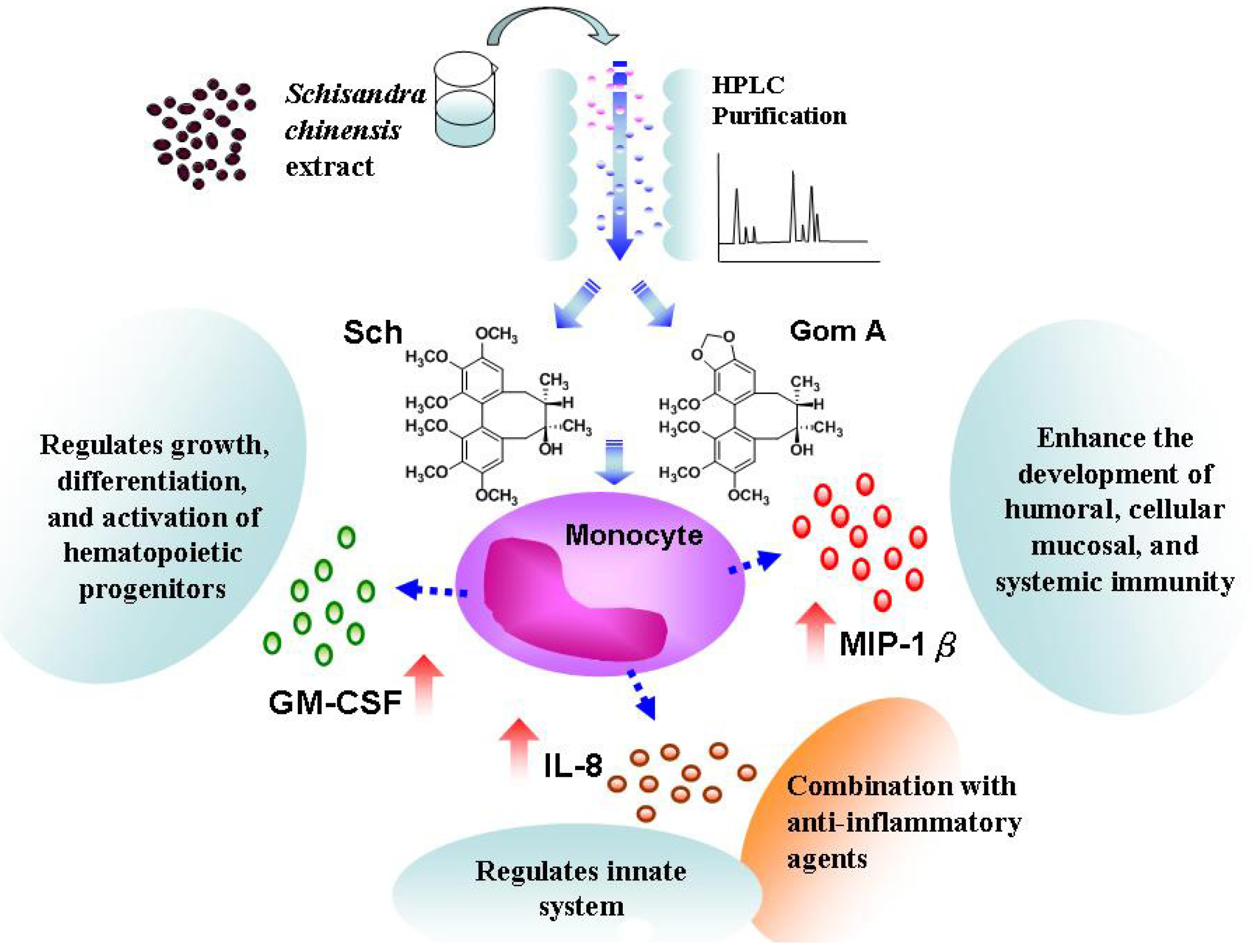 Molecules 16 04836 g005
