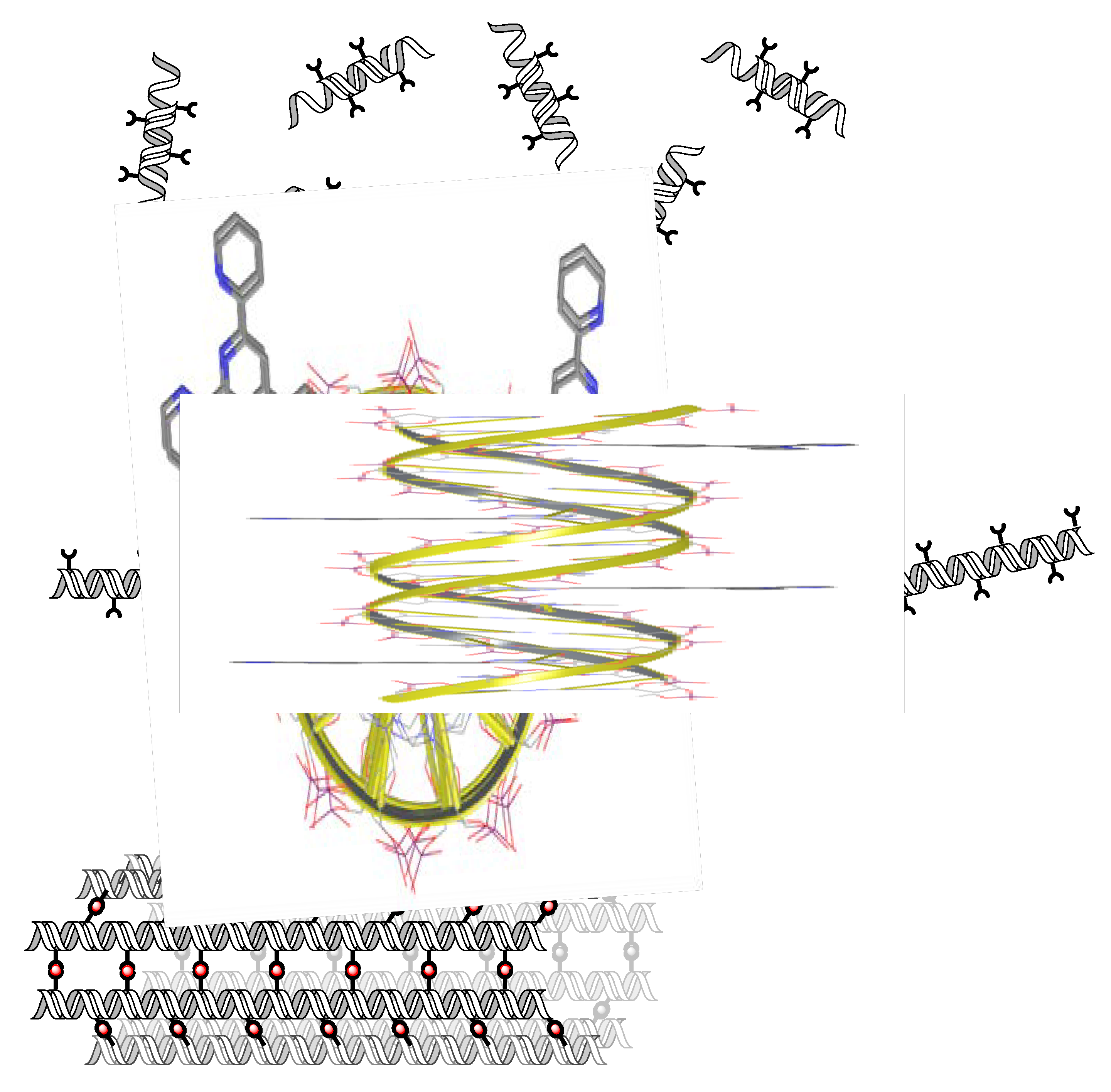 Molecules 16 04912 g005 550