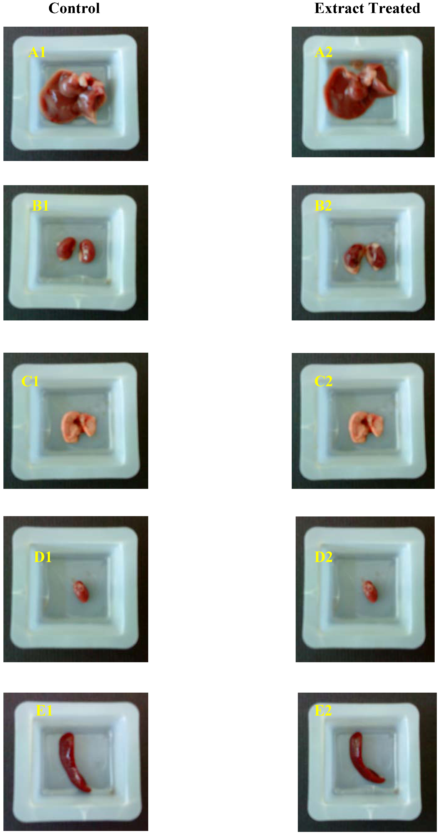 Molecules 16 05268 g001 550