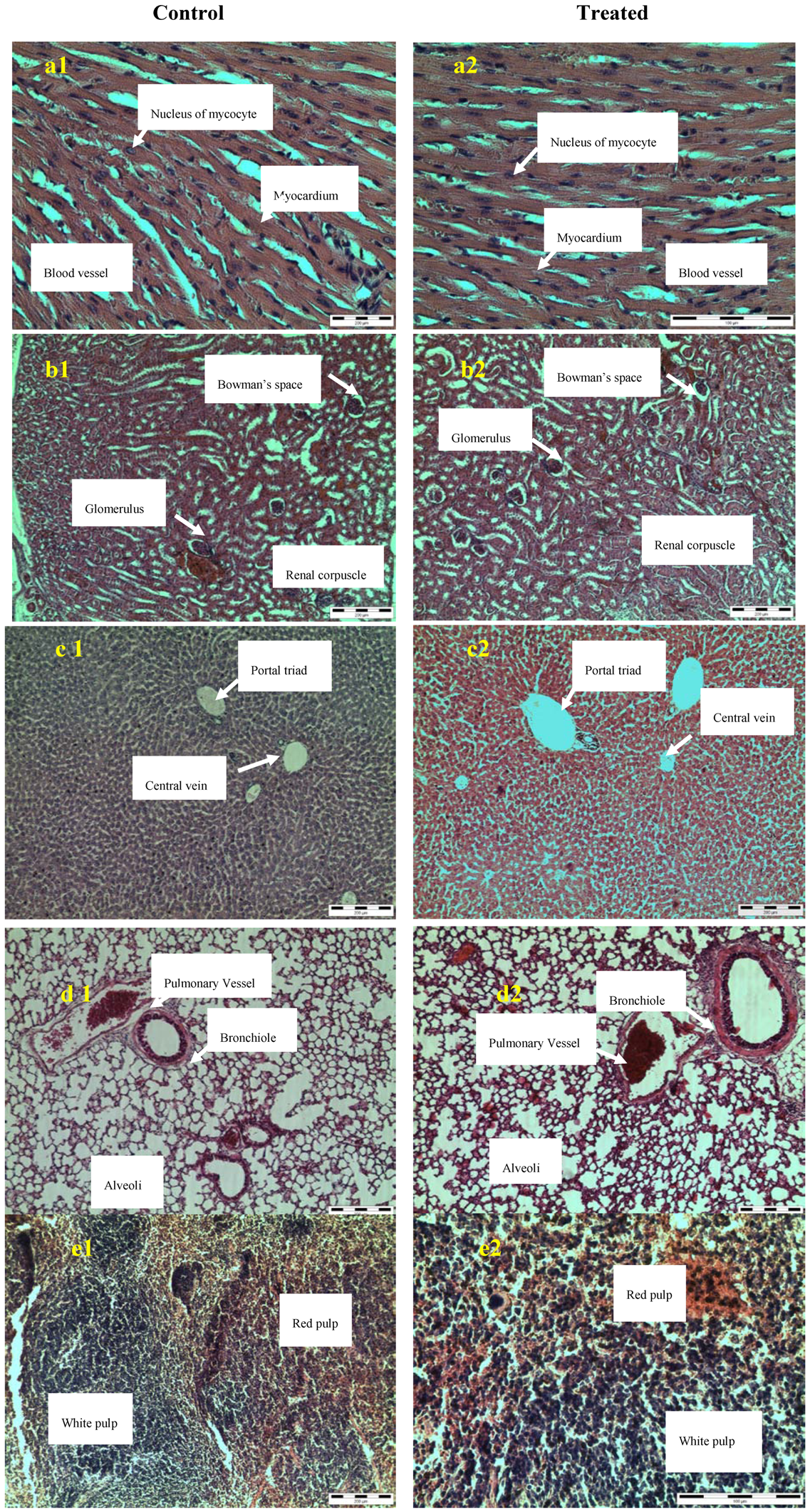 Molecules 16 05268 g002 550