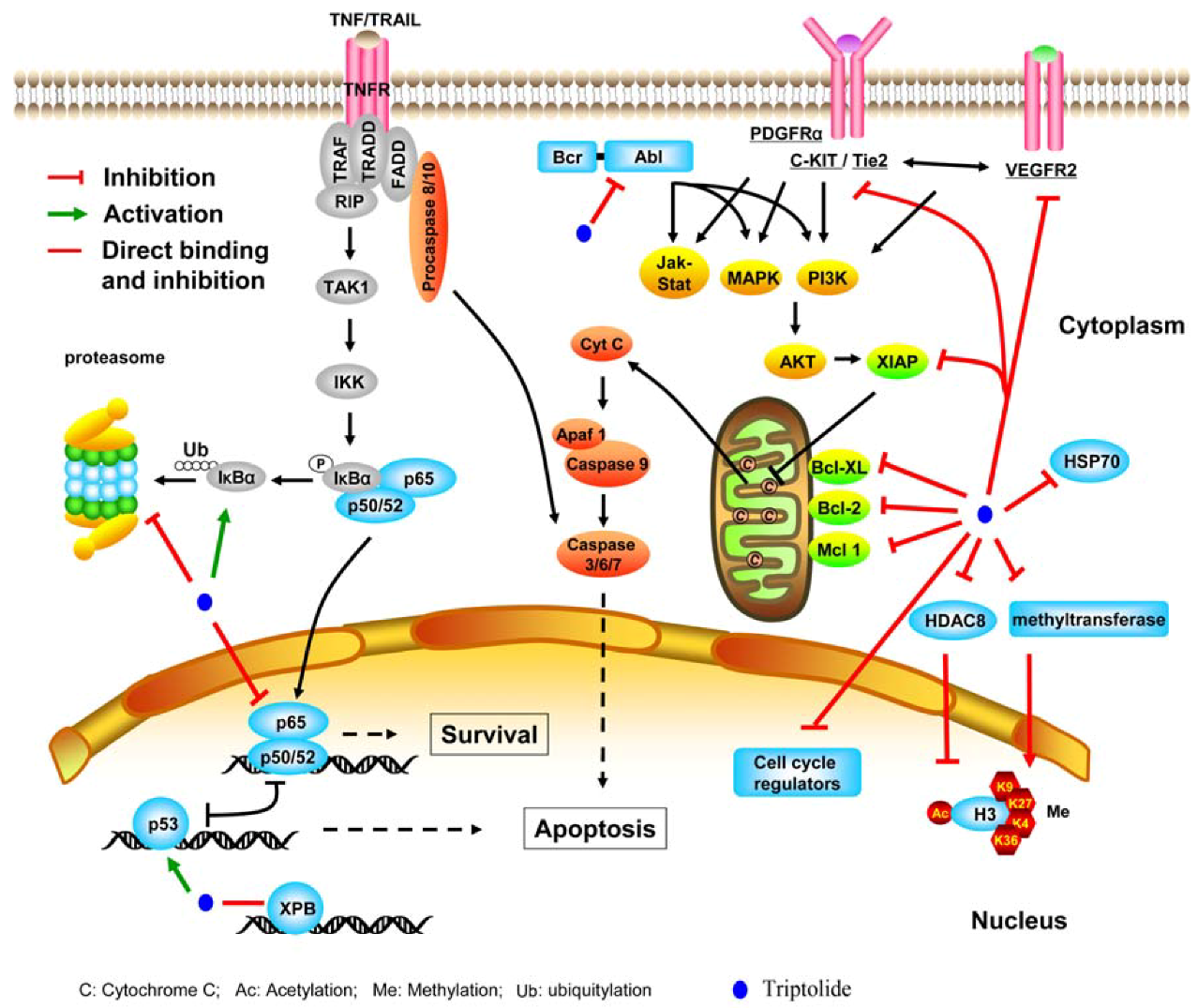 Molecules 16 05283 g002