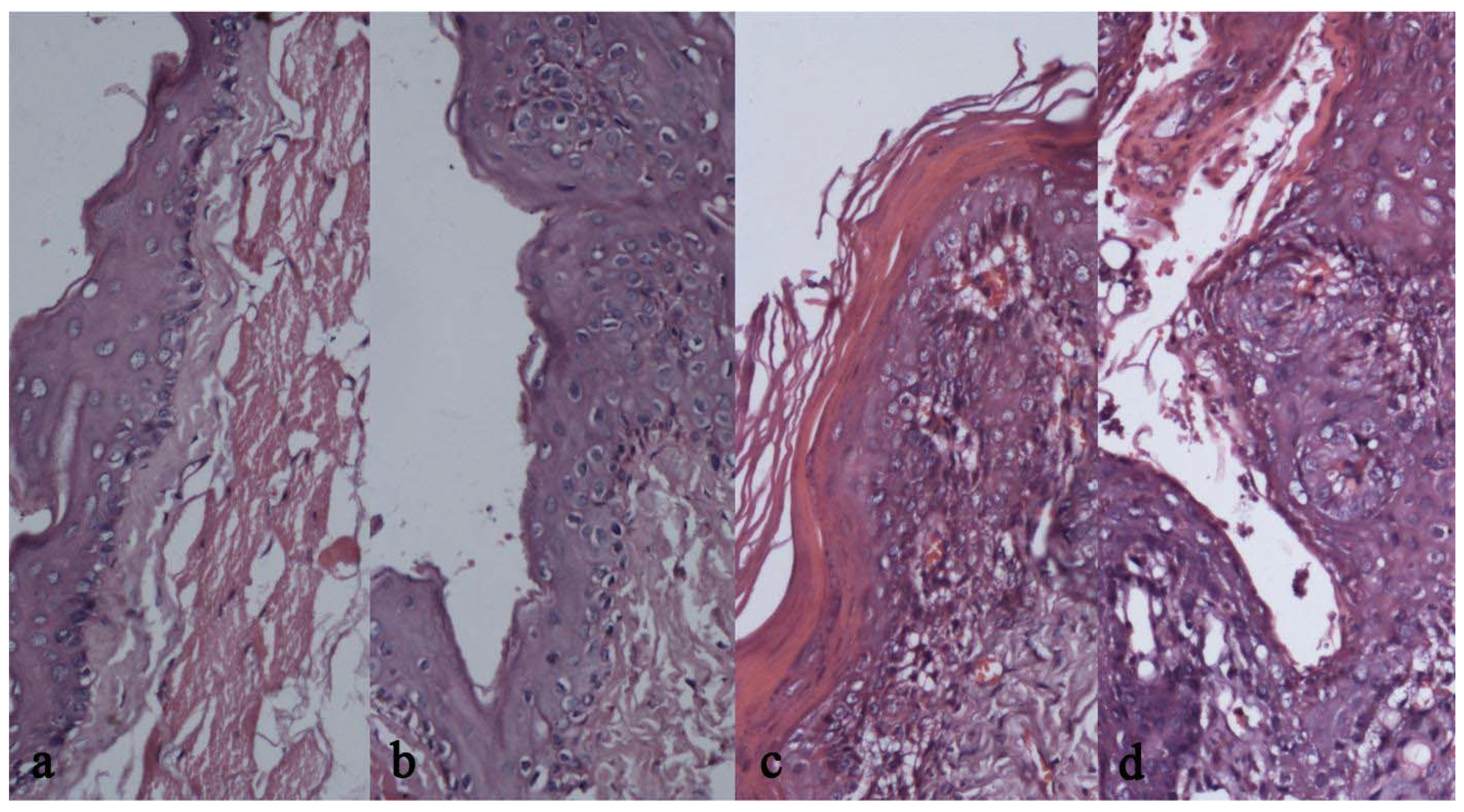 Molecules 16 05315 g003 550