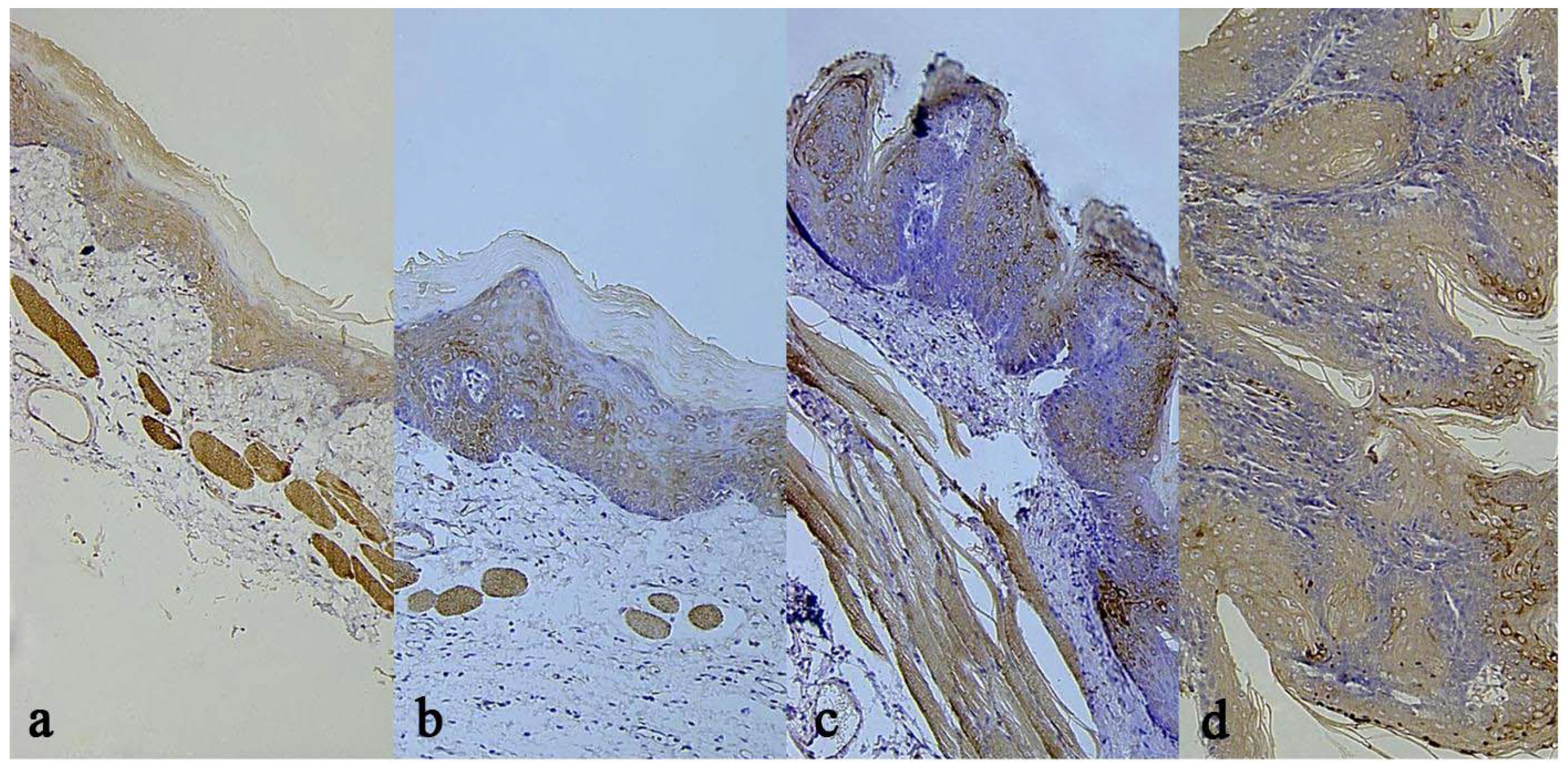 Molecules 16 05315 g004 550