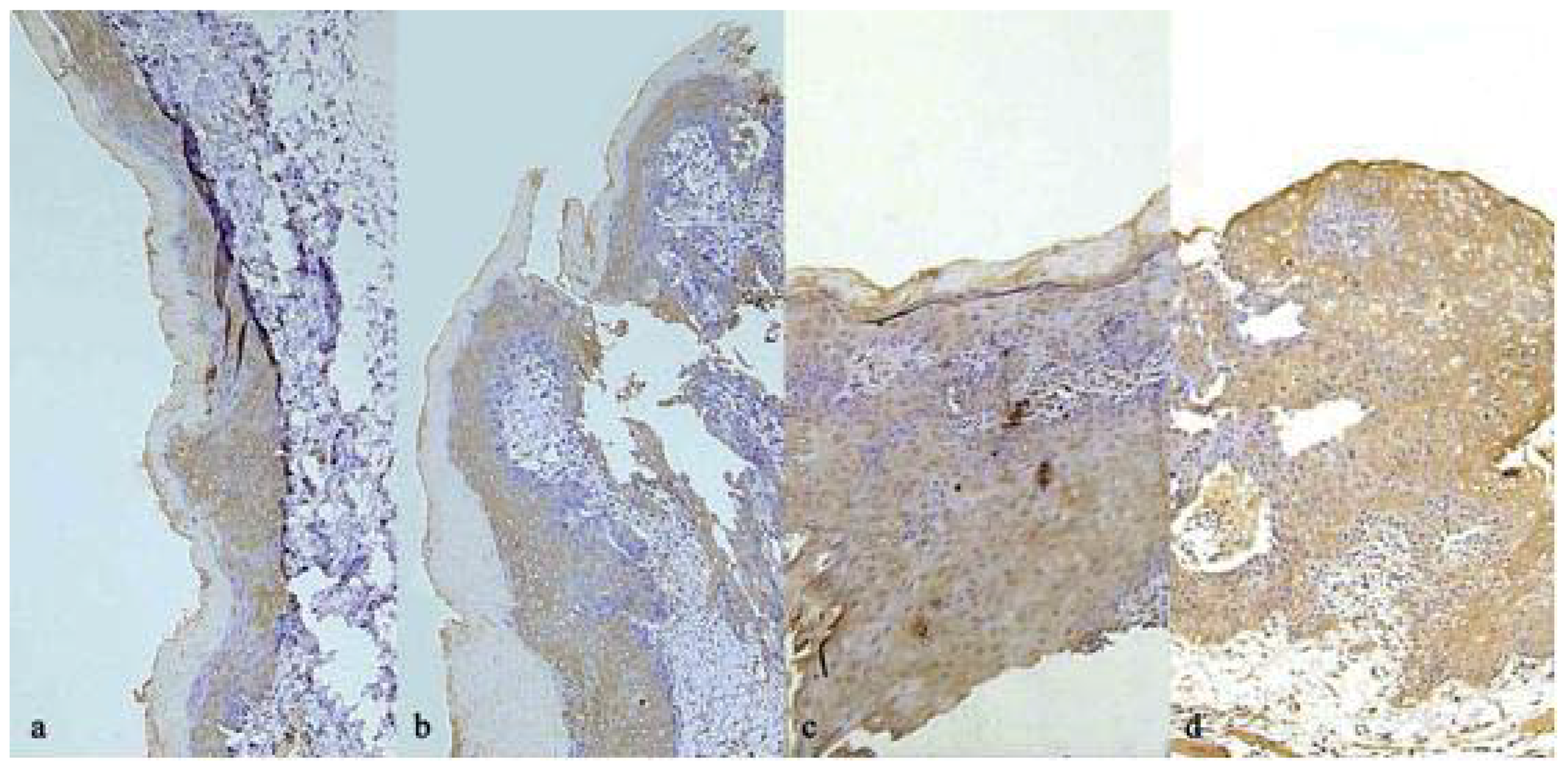 Molecules 16 05315 g005 550